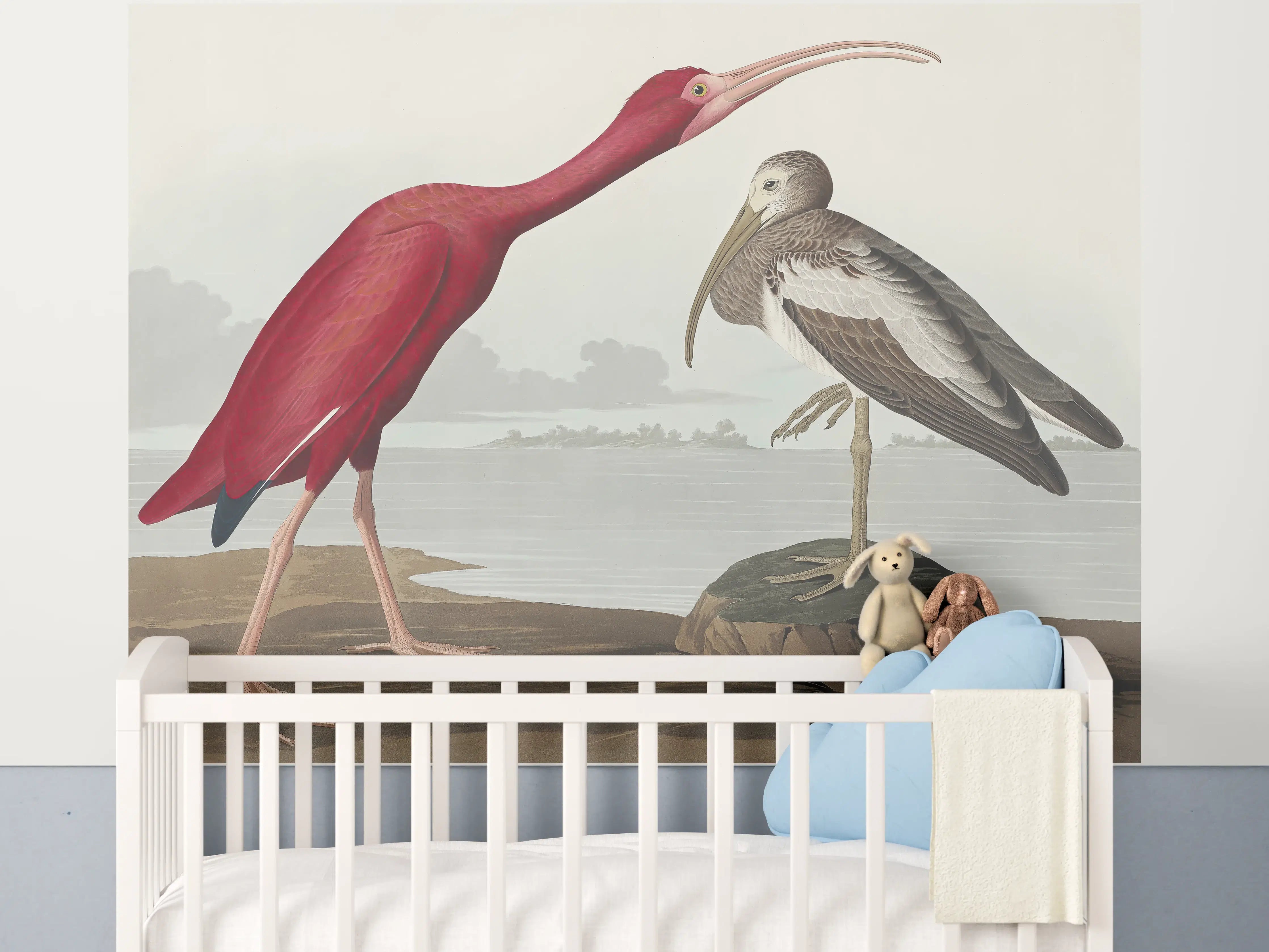 Babyzimmer Wandgestaltung - Scharlachsichler Portrait - John James Audubon