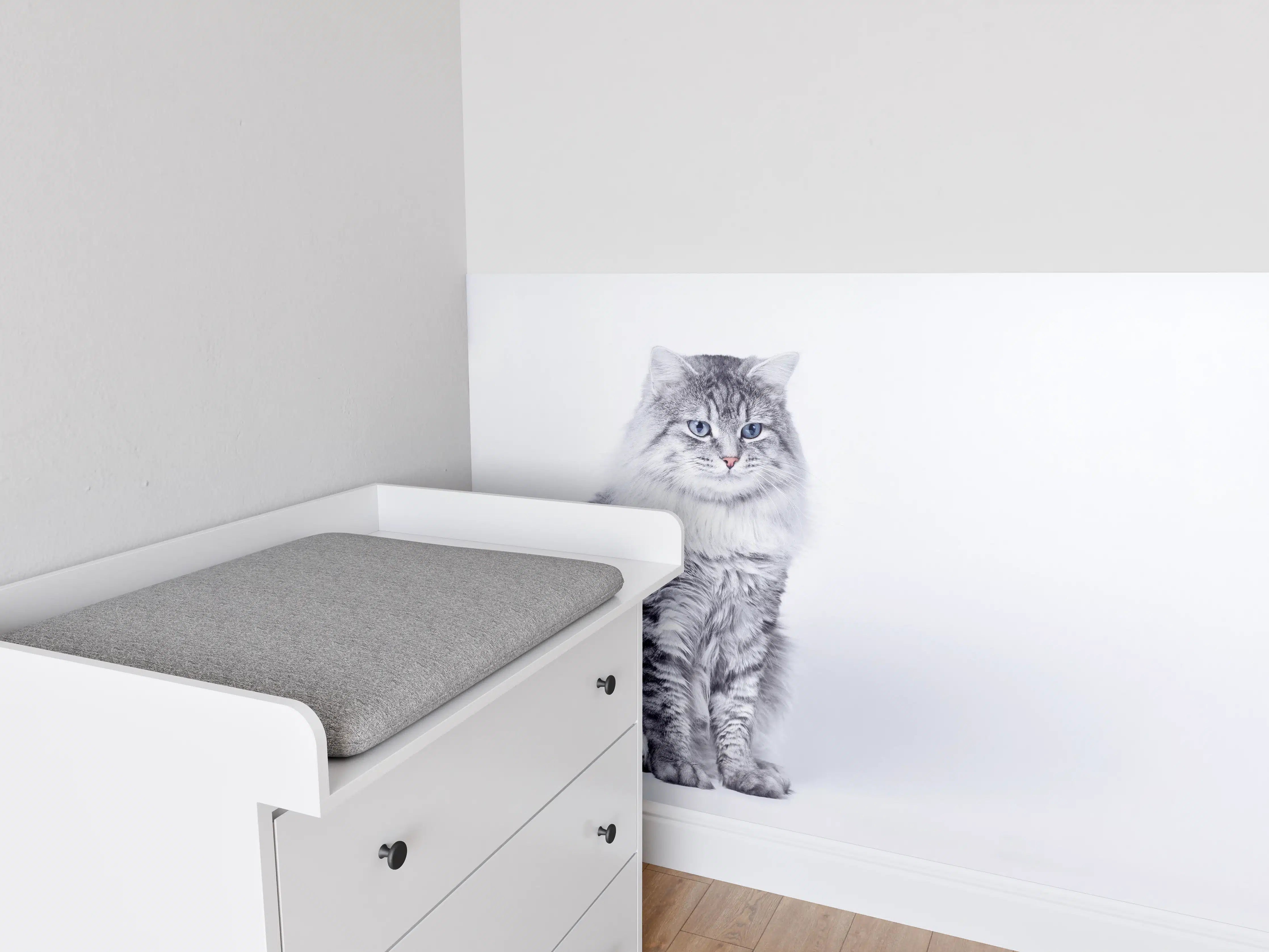 Babyzimmer Wandgestaltung - Schattiger Katzenblick