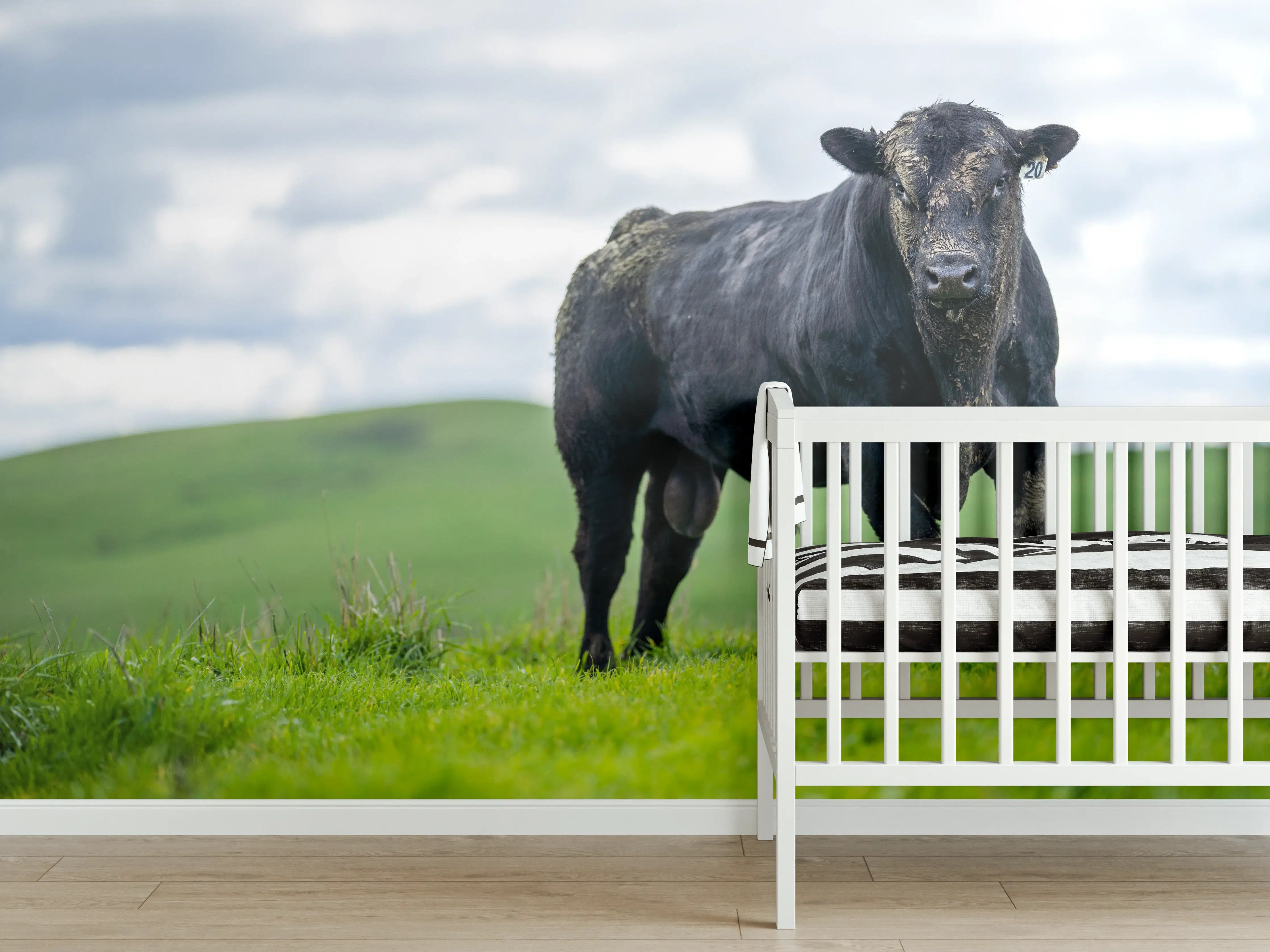 Babyzimmer Wandgestaltung - Schmutziger Aberdeen Angus