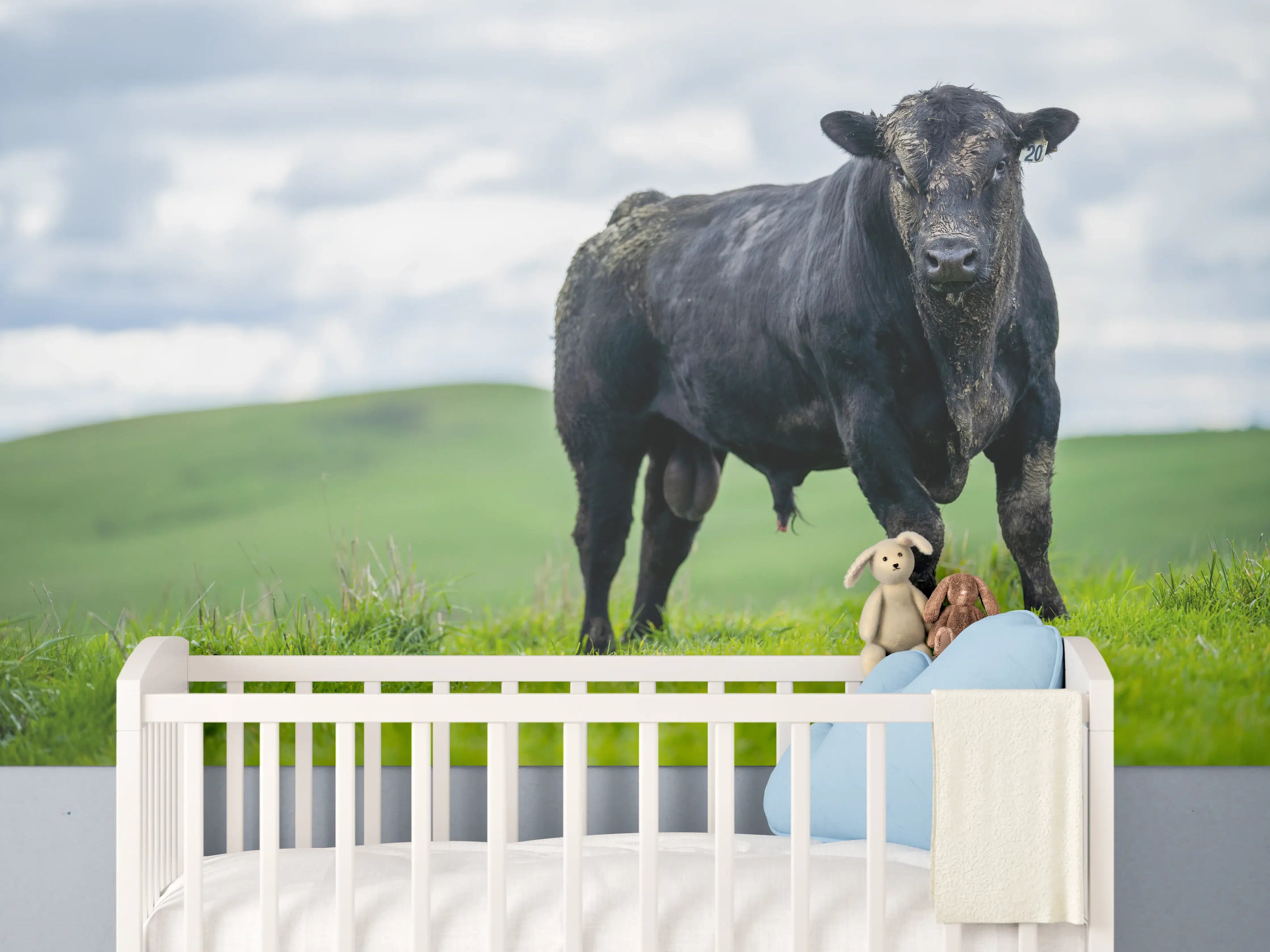 Babyzimmer Wandgestaltung - Schmutziger Aberdeen Angus