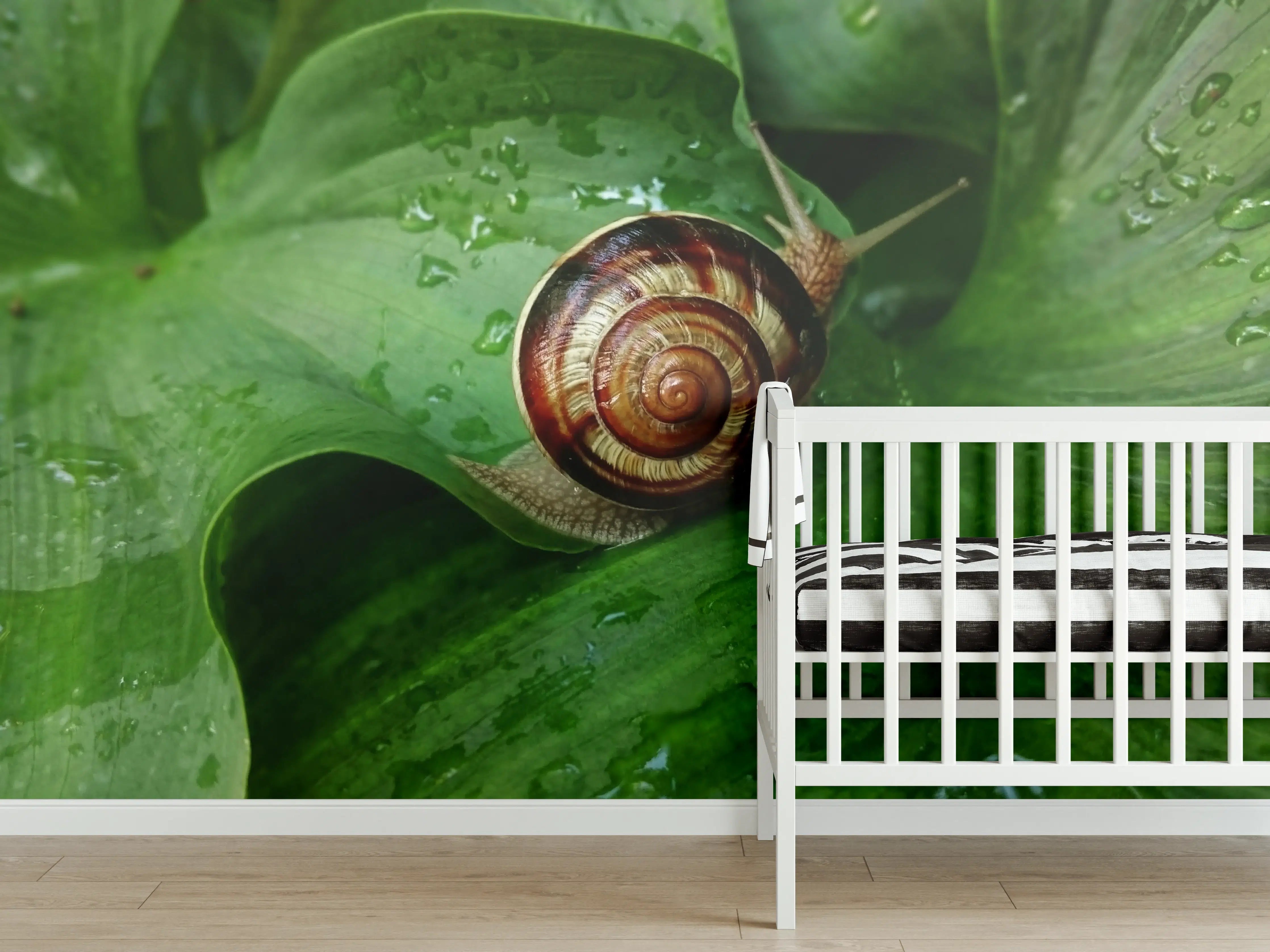 Babyzimmer Wandgestaltung - Schnecke auf einem nassen Blatt