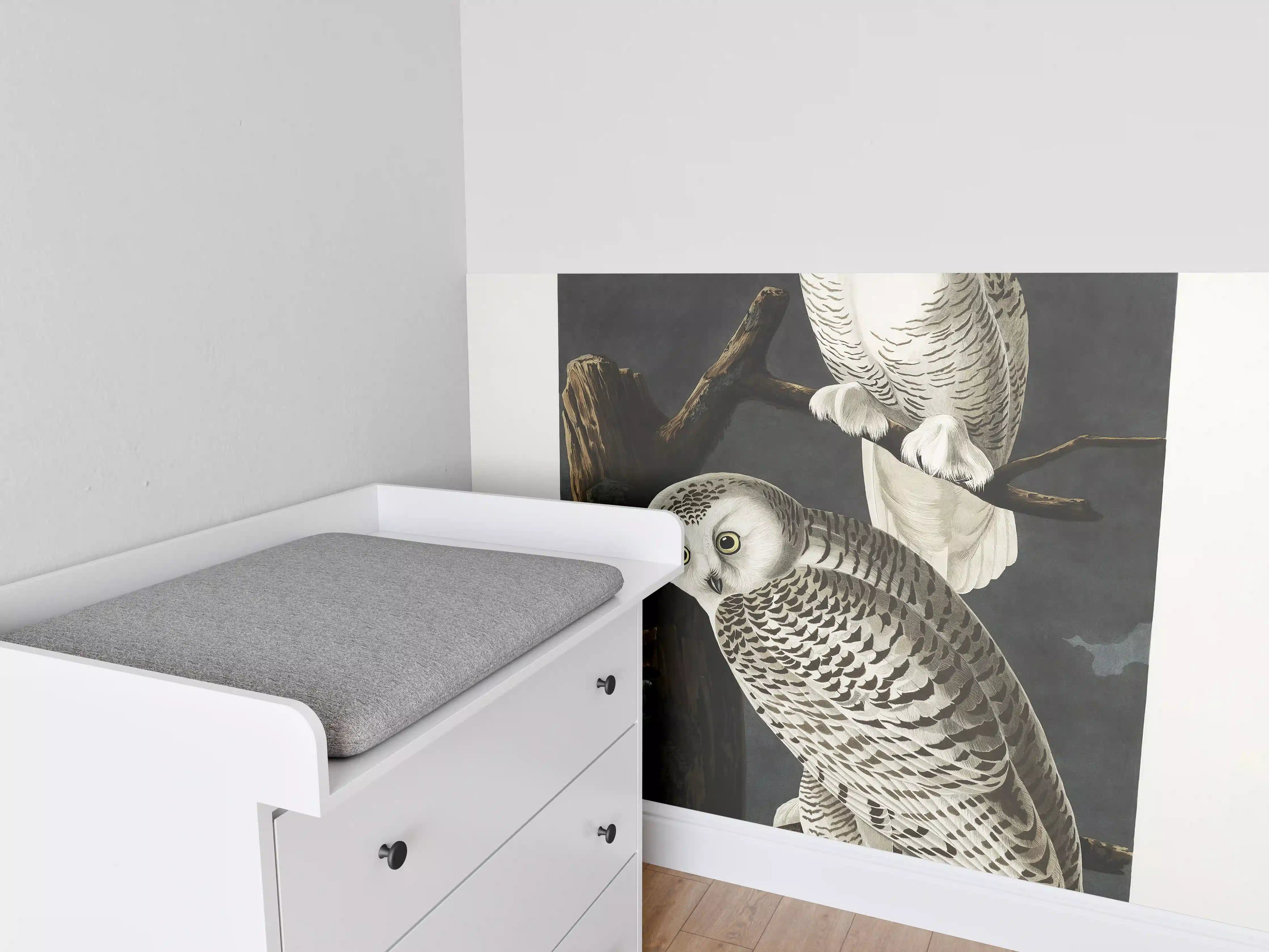 Babyzimmer Wandgestaltung - Schneeweiße Eulen - John James Audubon