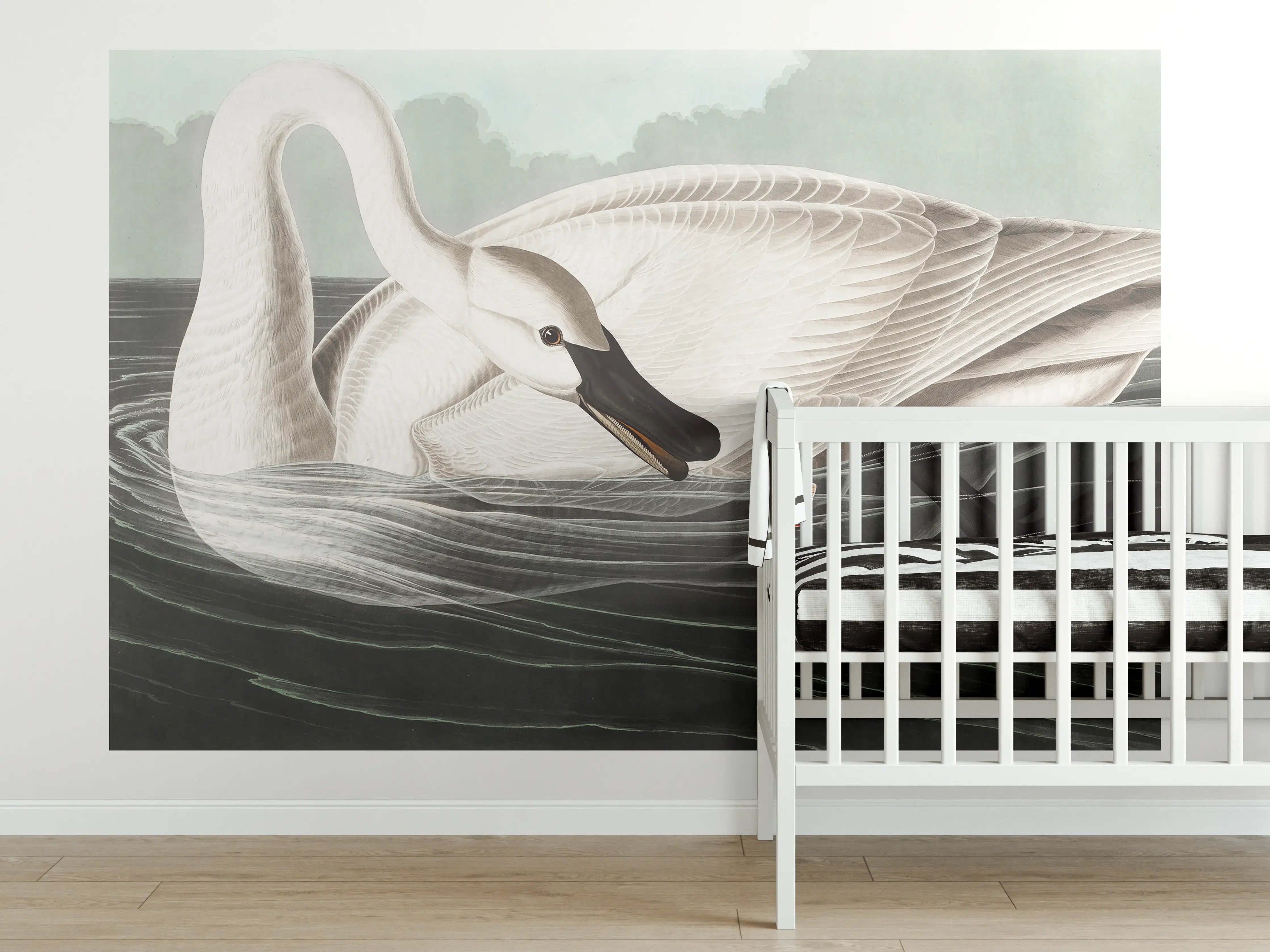 Babyzimmer Wandgestaltung - Schneeweißer Schwan - John James Audubon