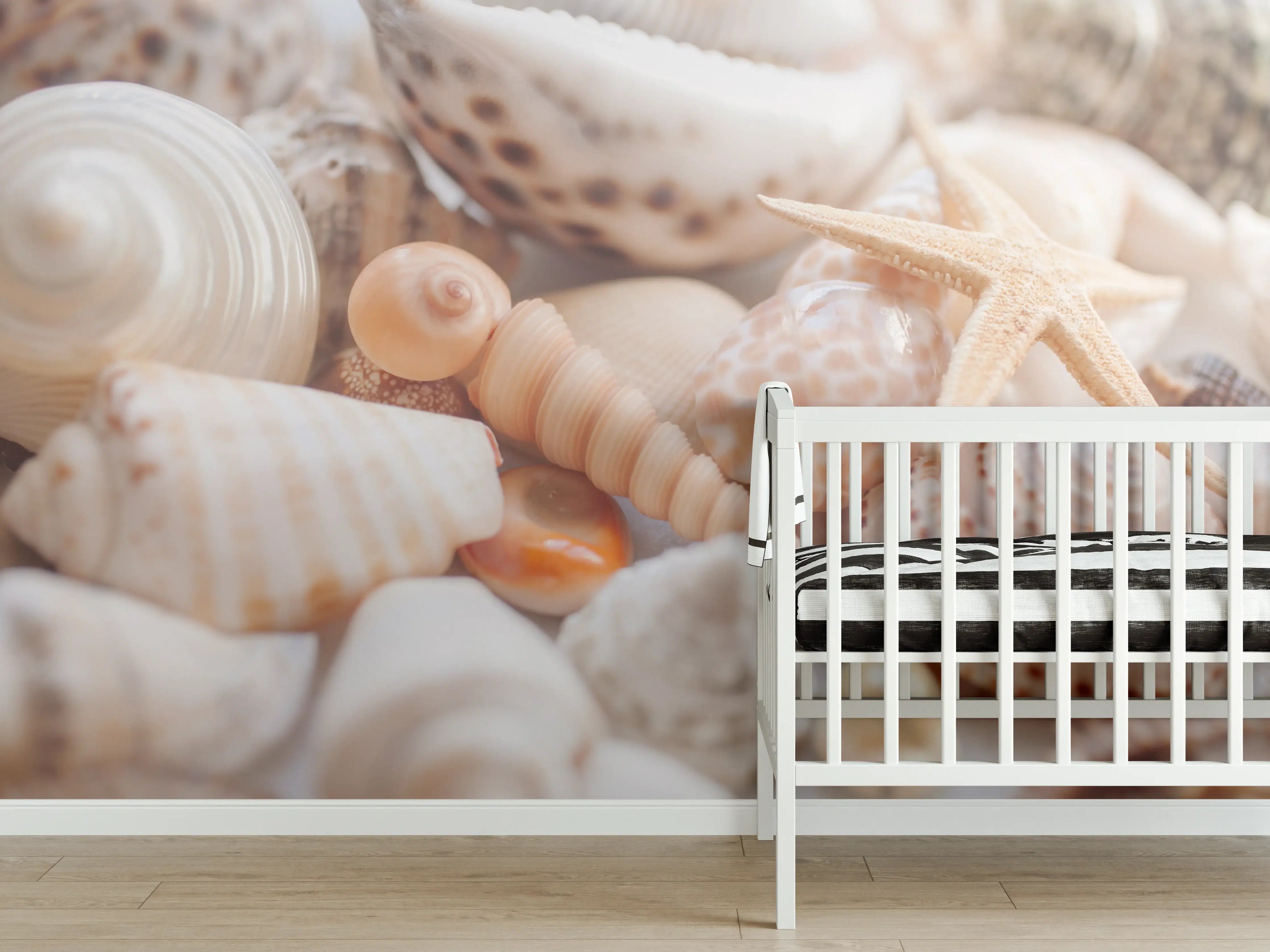 Babyzimmer Wandgestaltung - Schöne Muschelsammlung