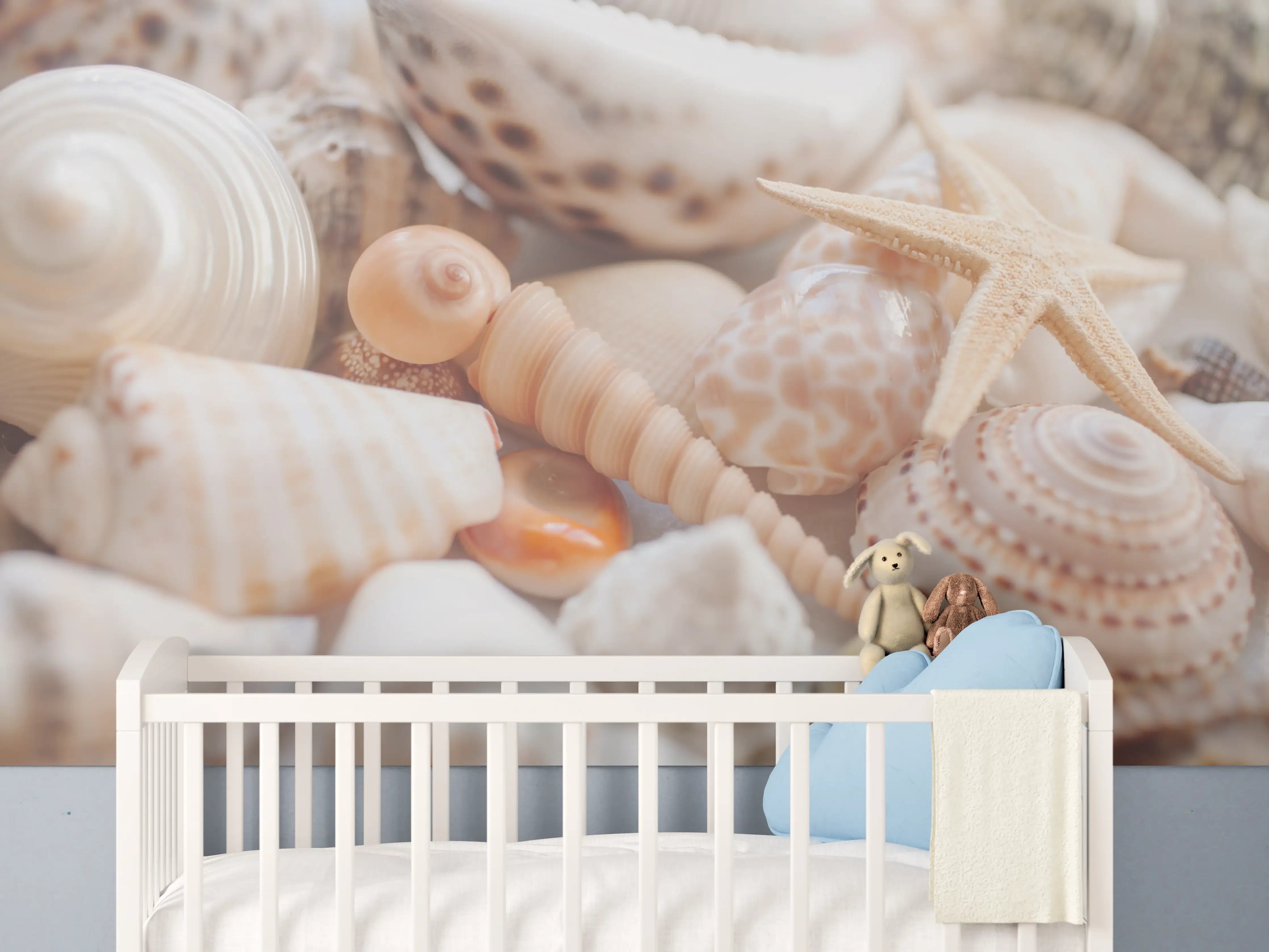 Babyzimmer Wandgestaltung - Schöne Muschelsammlung