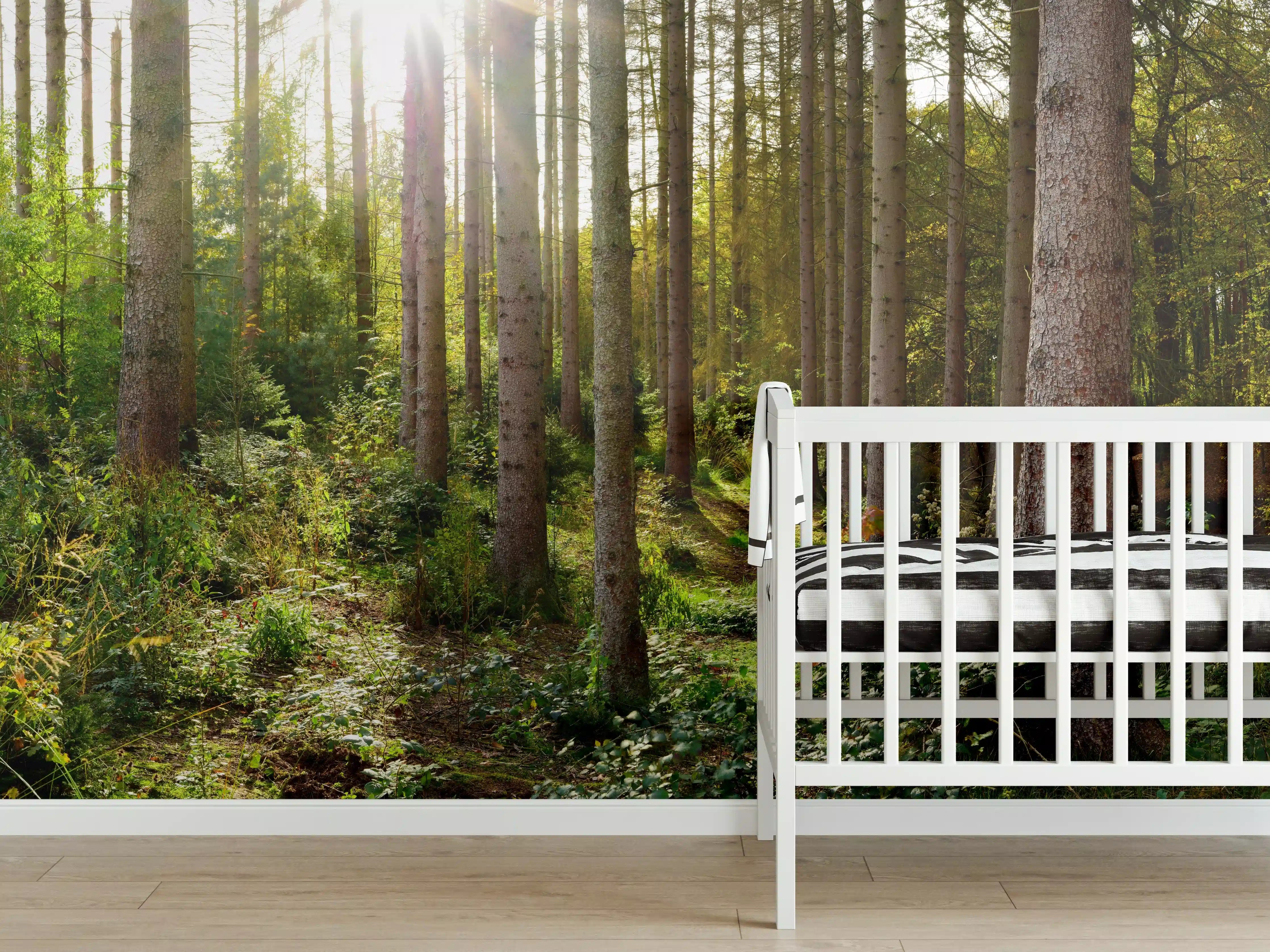 Babyzimmer Wandgestaltung - Schöner Fichtenwald im Herbst