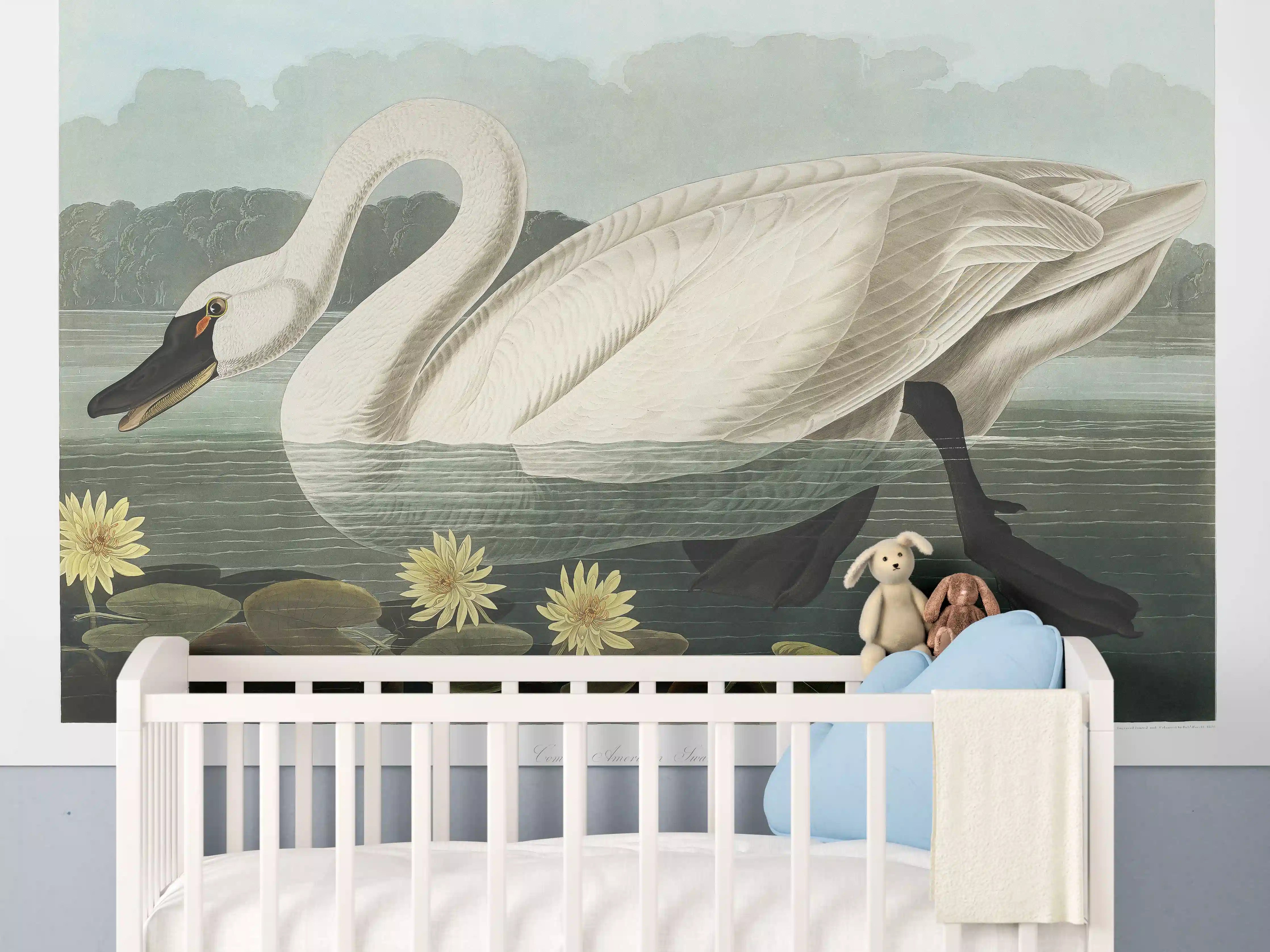 Babyzimmer Wandgestaltung - Schwan Portait - Robert Havell