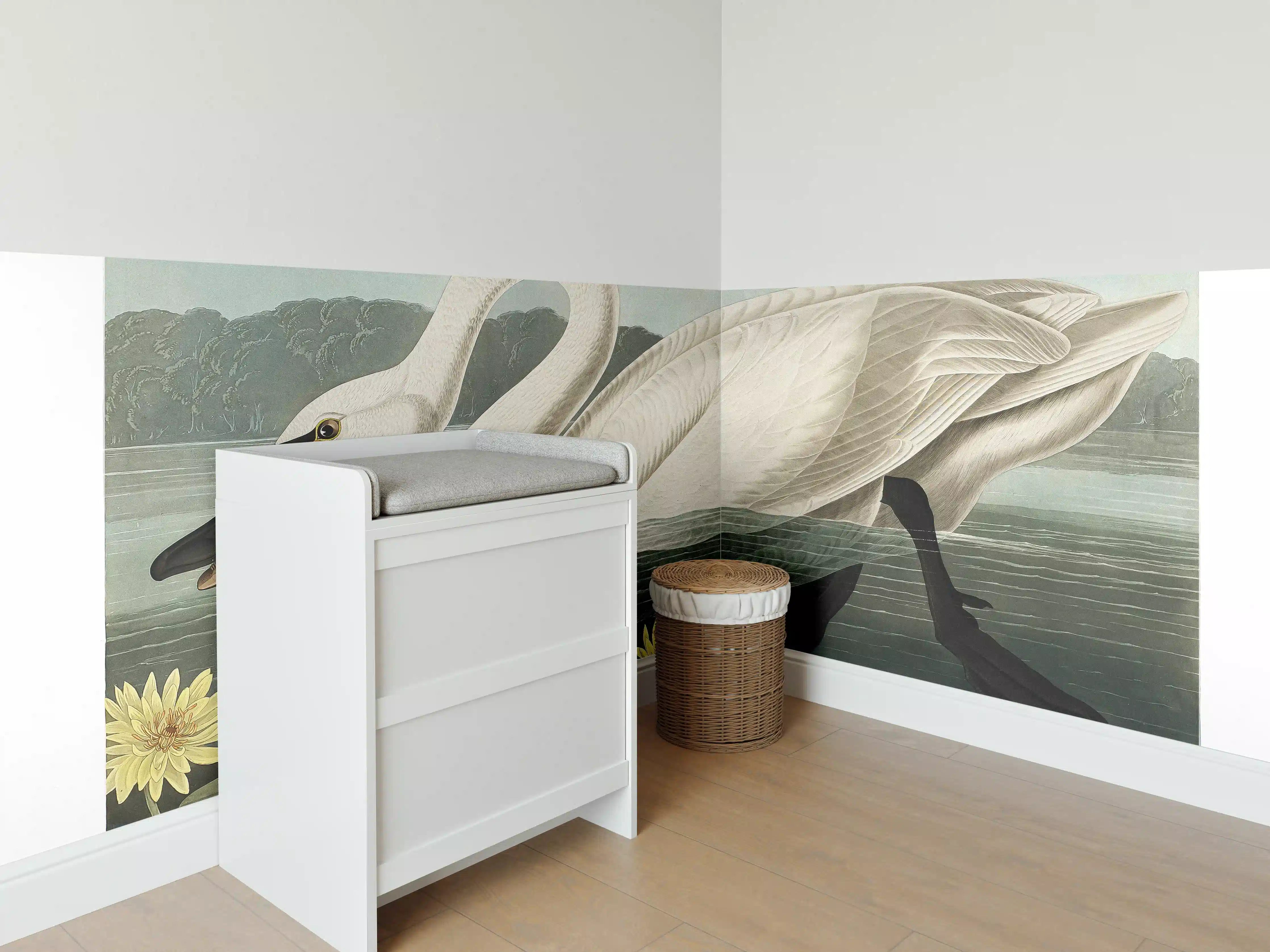 Babyzimmer Wandgestaltung - Schwan Portait - Robert Havell