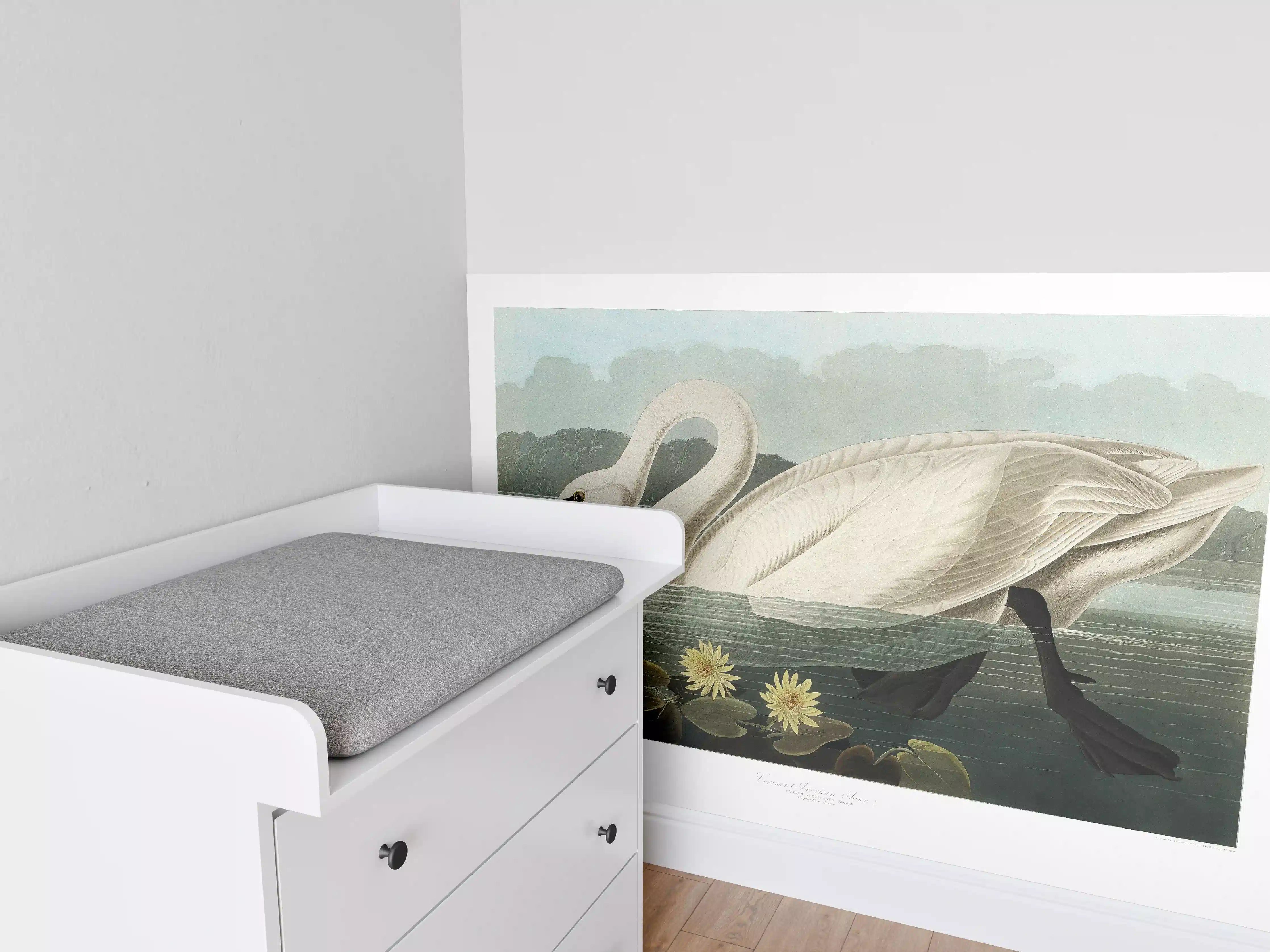 Babyzimmer Wandgestaltung - Schwan Portait - Robert Havell