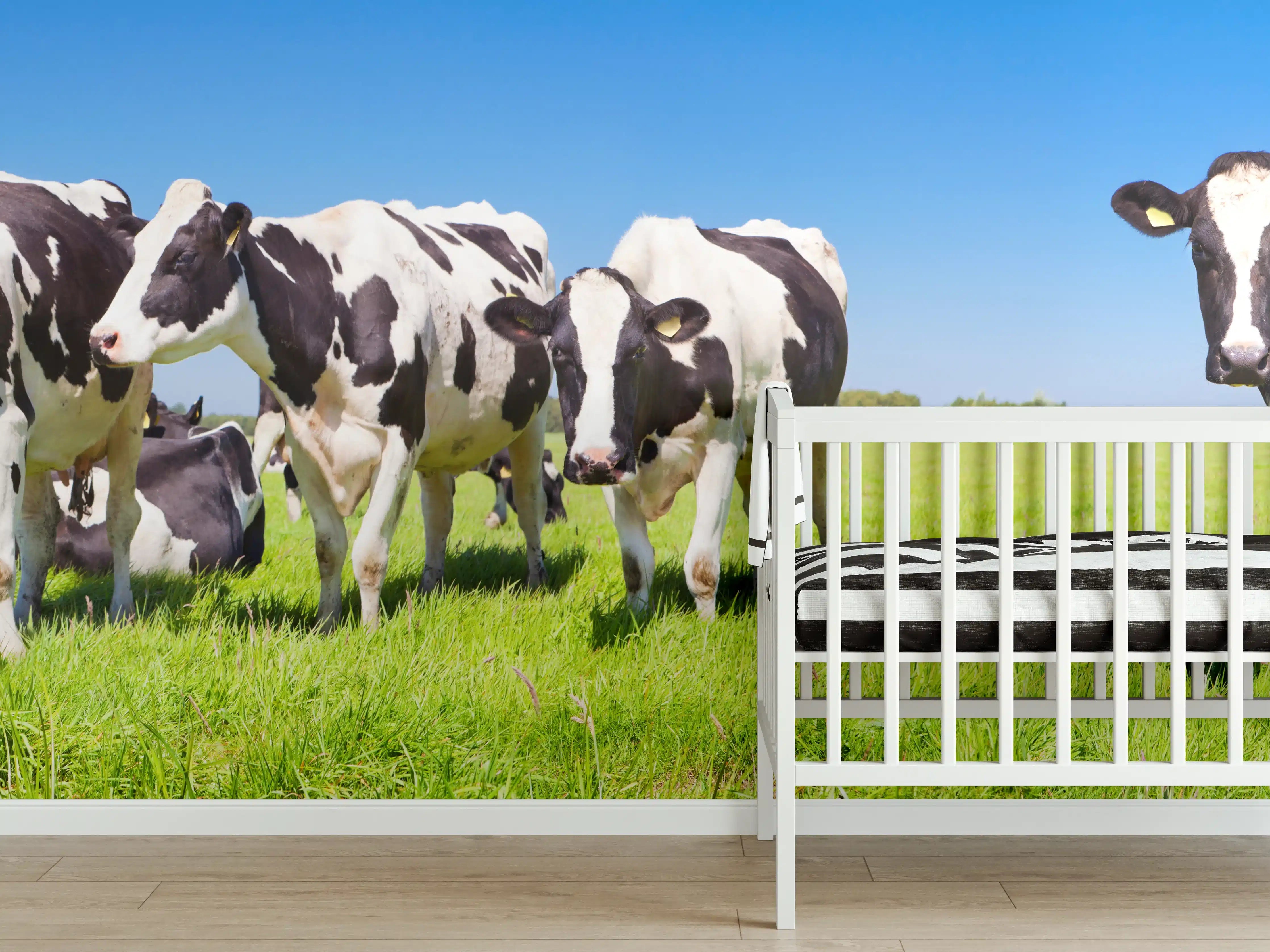 Babyzimmer Wandgestaltung - Schwarz-Weiß-Kühe auf grüner Weide