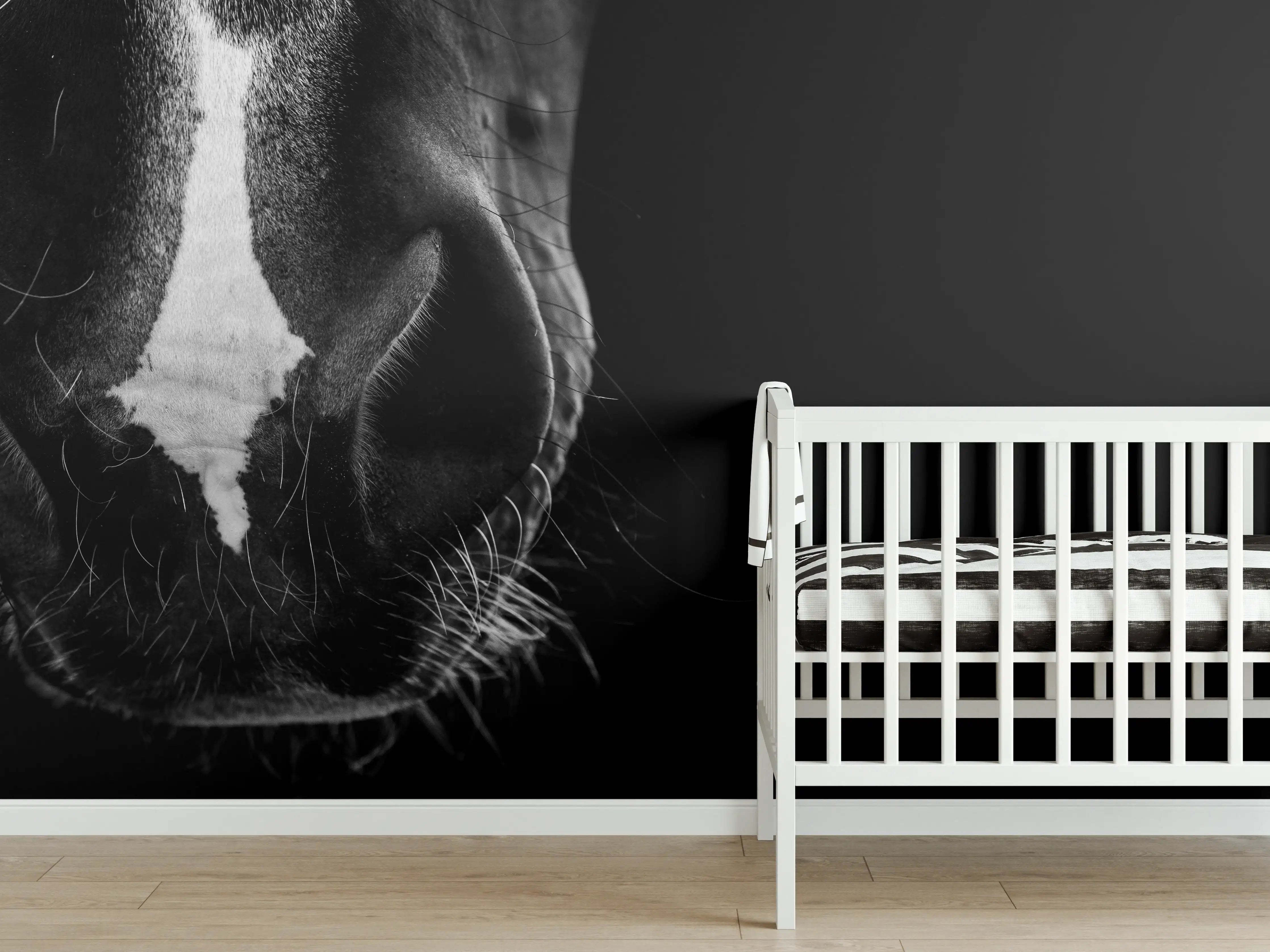 Babyzimmer Wandgestaltung - Schwarz-Weiß Pferd Nahaufnahme