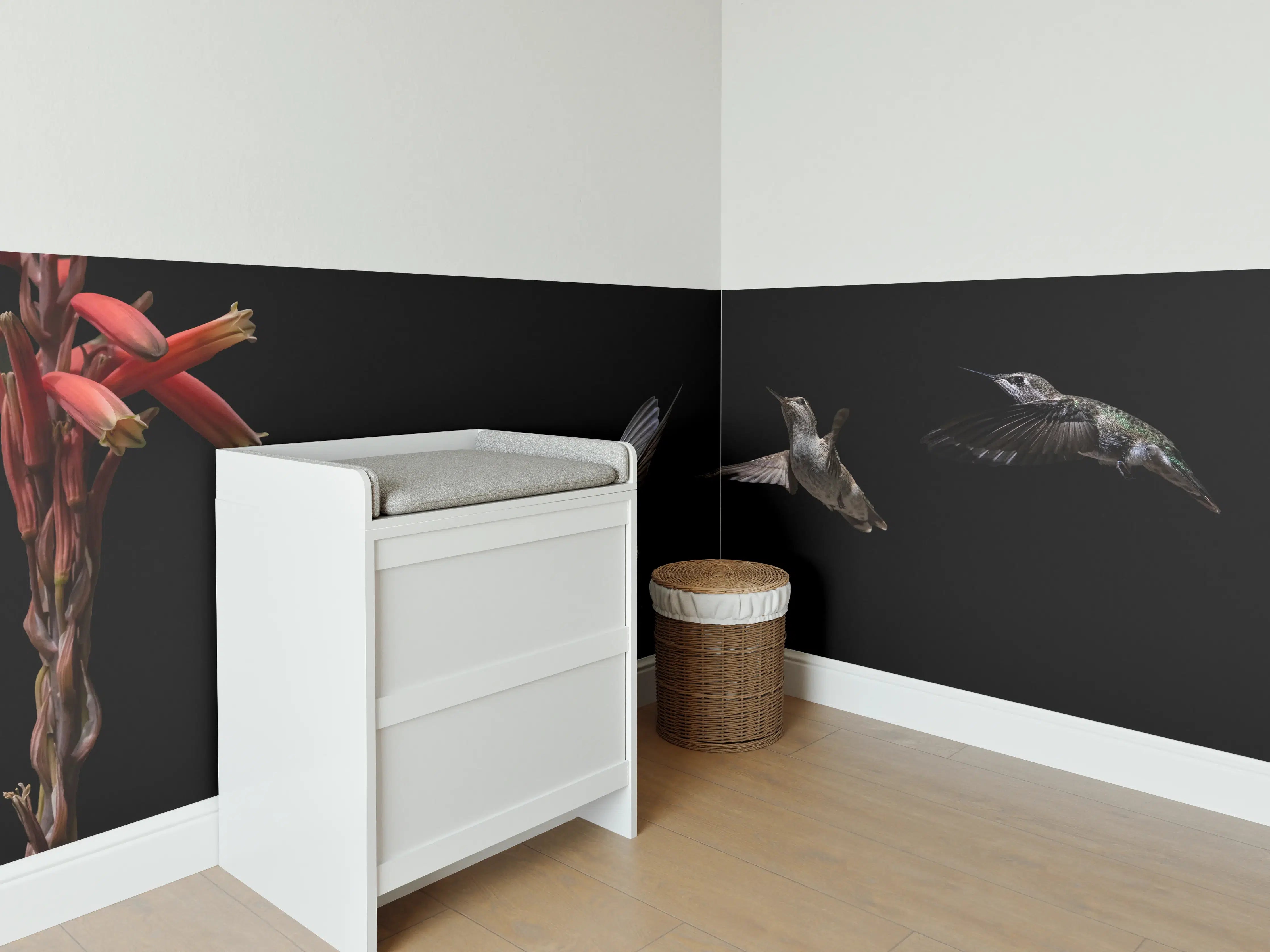 Babyzimmer Wandgestaltung - Schwarzkinnkolibri Vogel mit Schwarzem Hintergrund