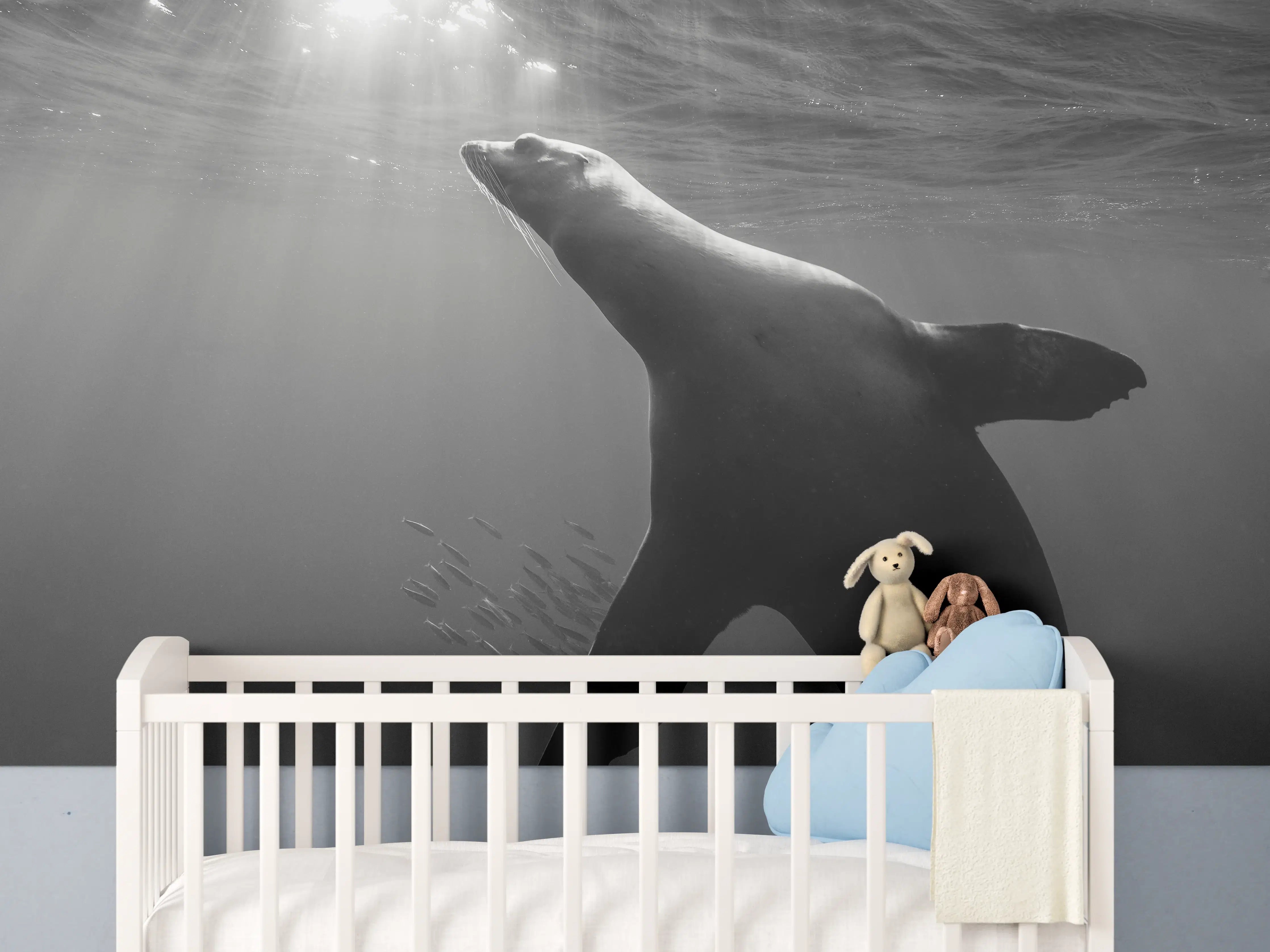 Babyzimmer Wandgestaltung - Seelöwe beim Fressen von Sardinen