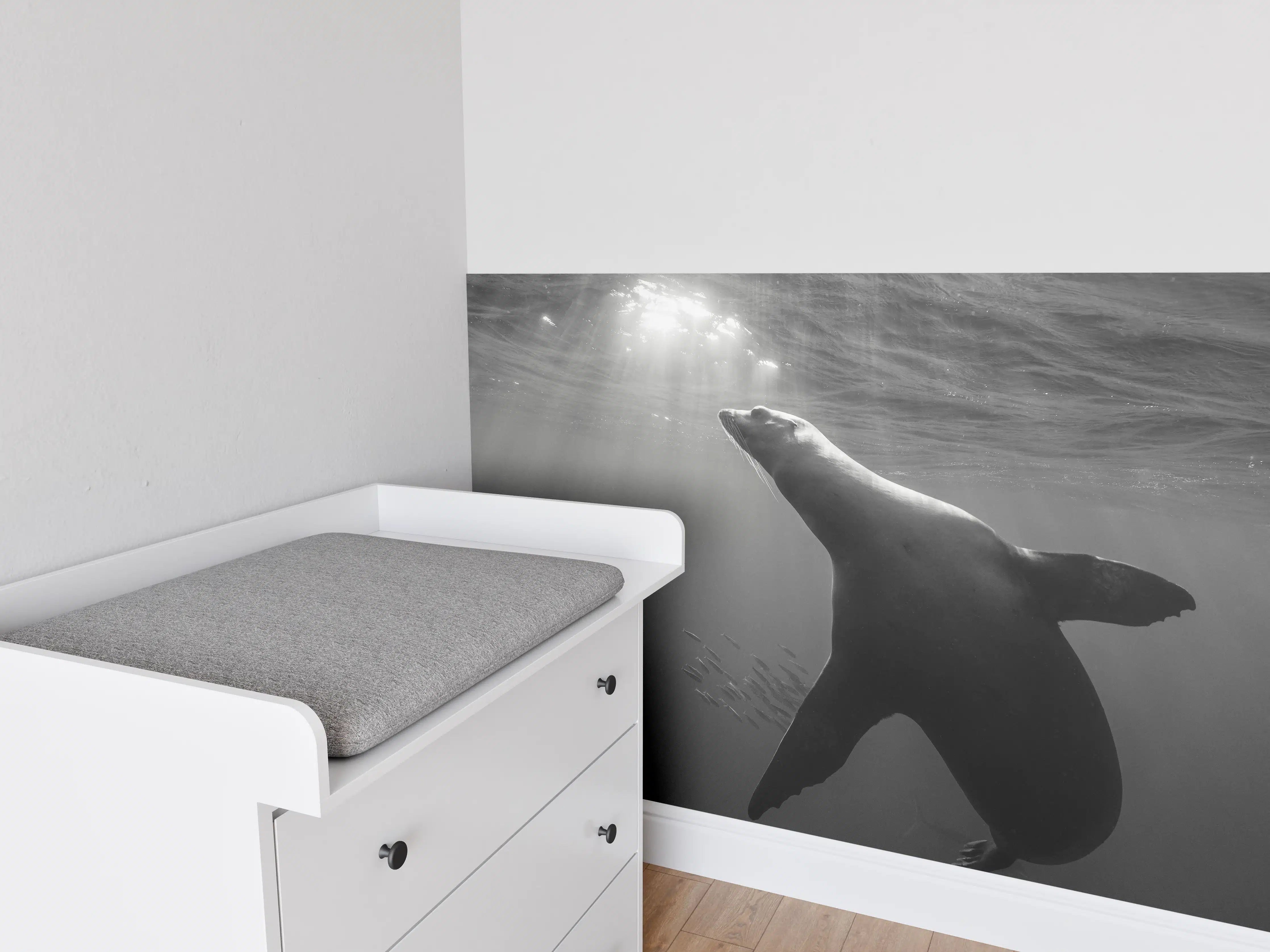 Babyzimmer Wandgestaltung - Seelöwe beim Fressen von Sardinen