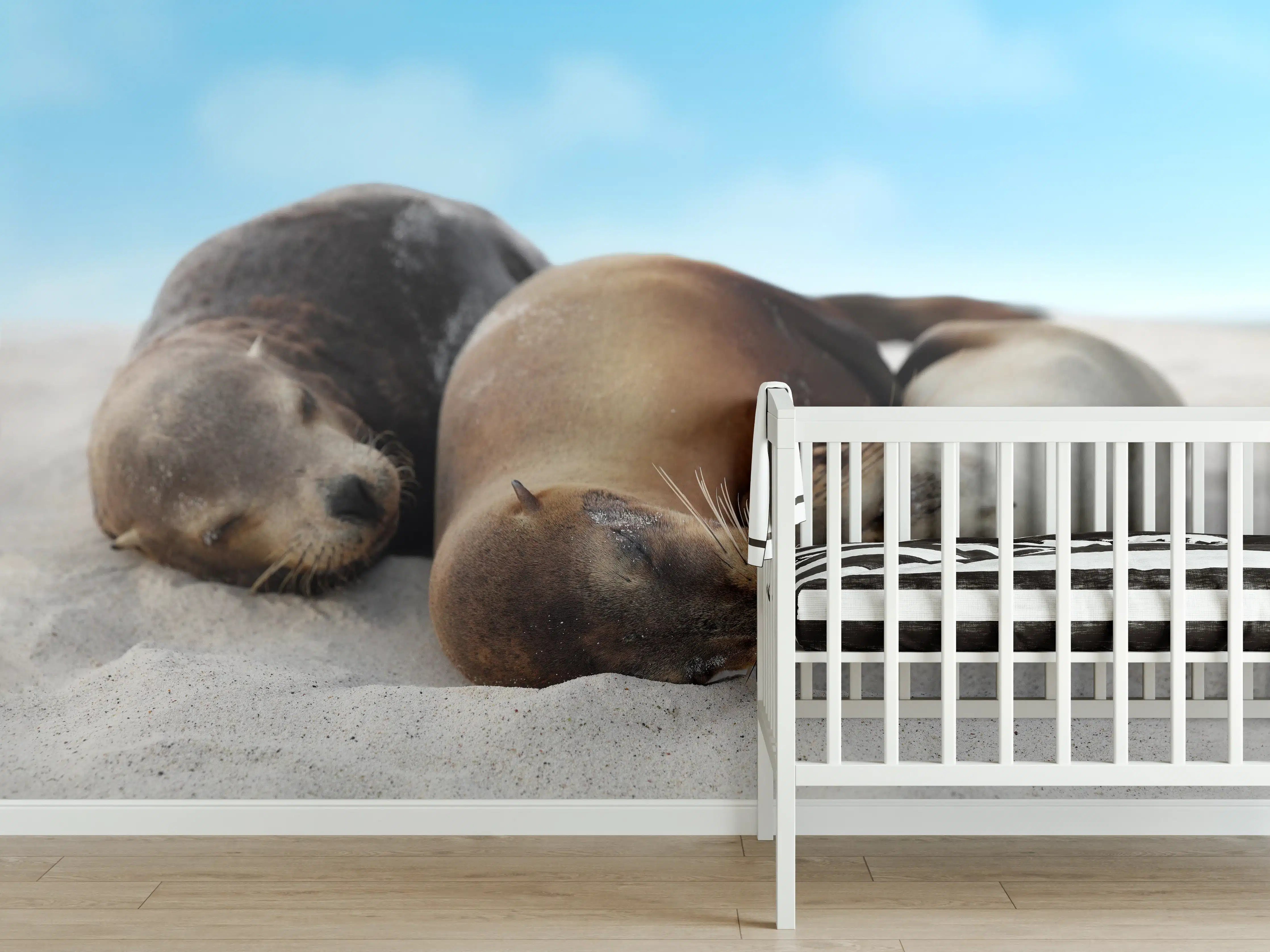 Babyzimmer Wandgestaltung - Seelöwen im Sand liegend