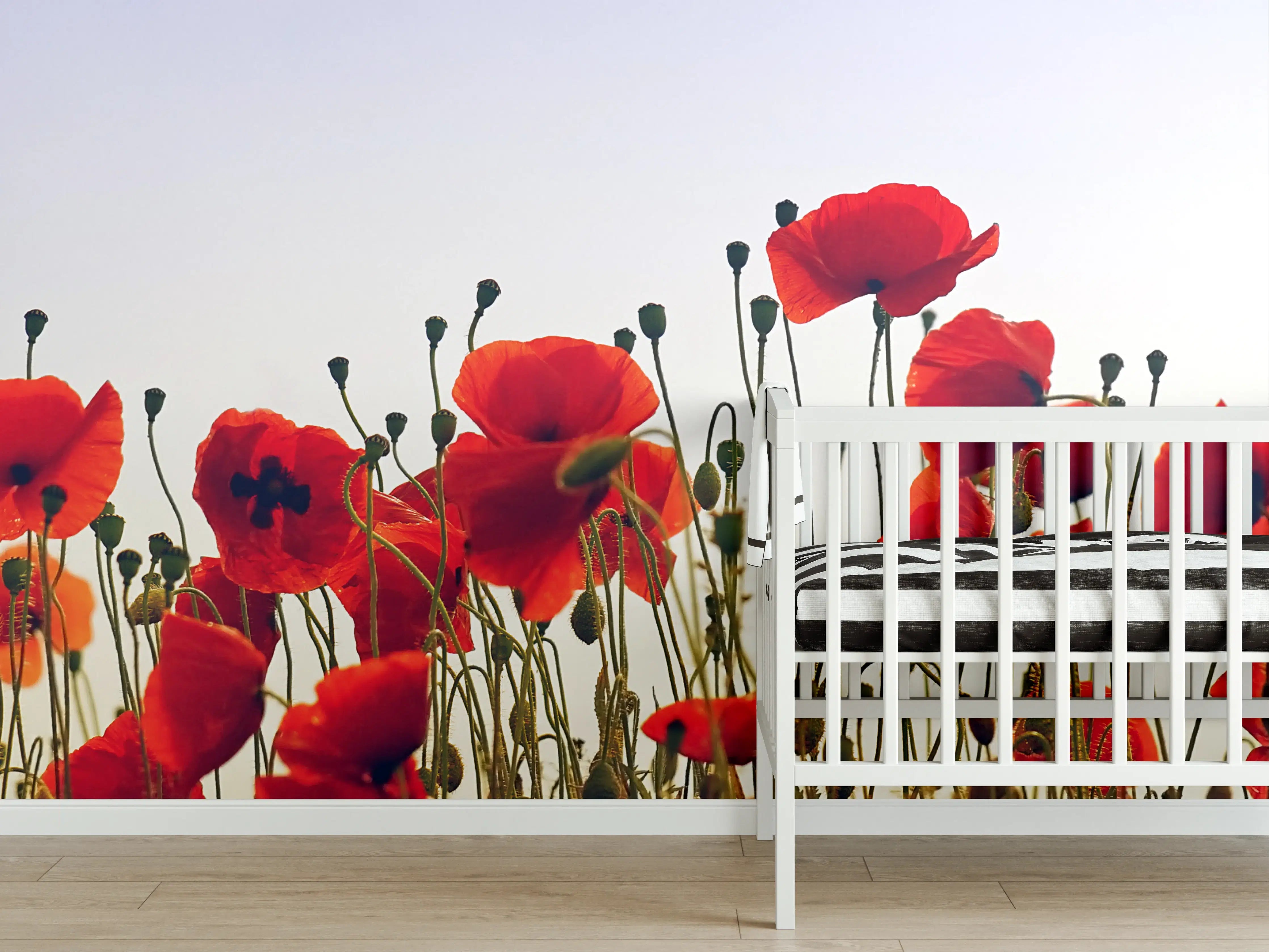 Babyzimmer Wandgestaltung - Silbrige Mohnblumen im Sonnenstrahl