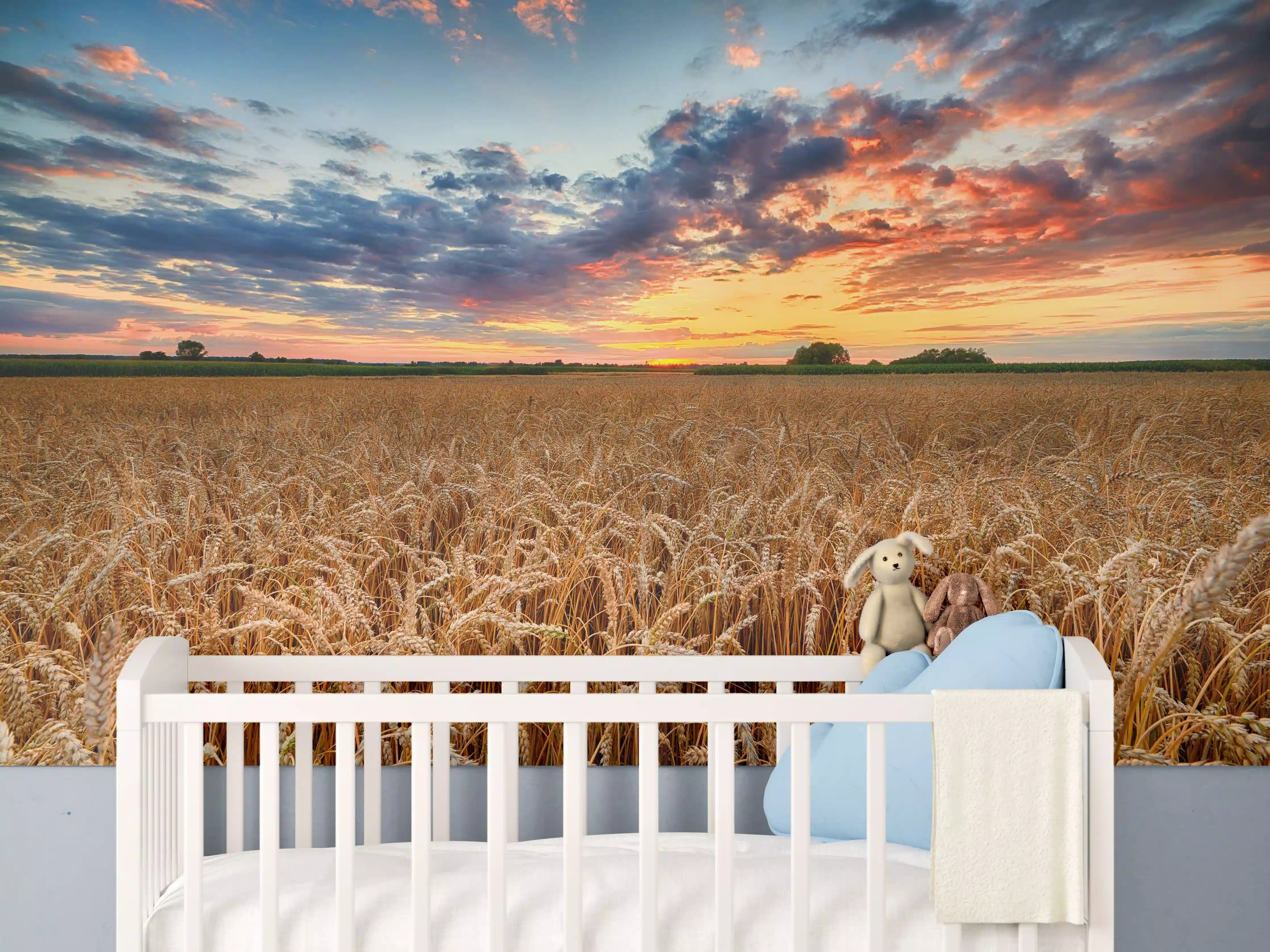 Babyzimmer Wandgestaltung - Sommer-Sonnenaufgang über Weizenfeldern in der Ukraine