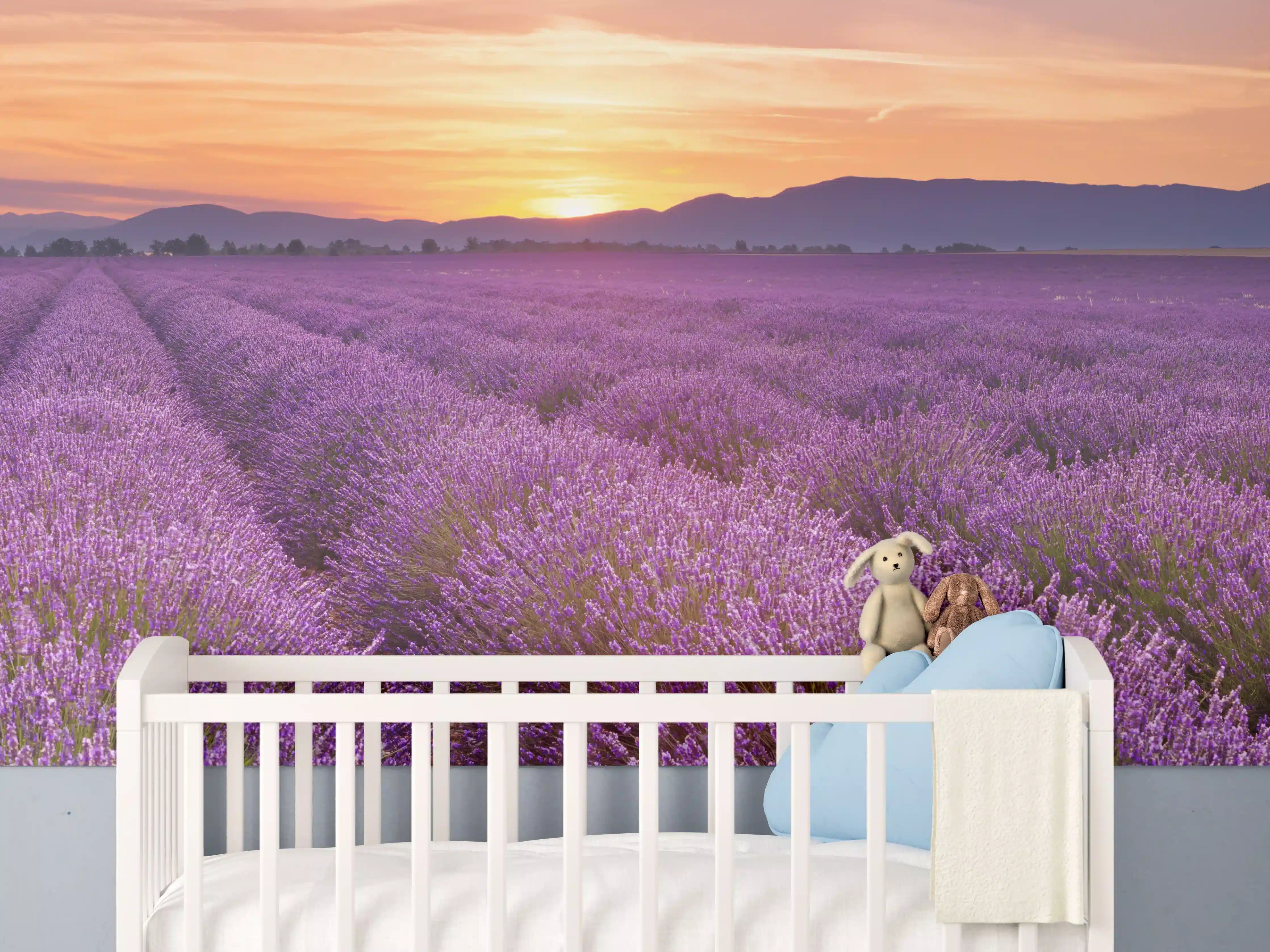 Babyzimmer Wandgestaltung - Sonnenaufgang über Lavendelfelder - Provence