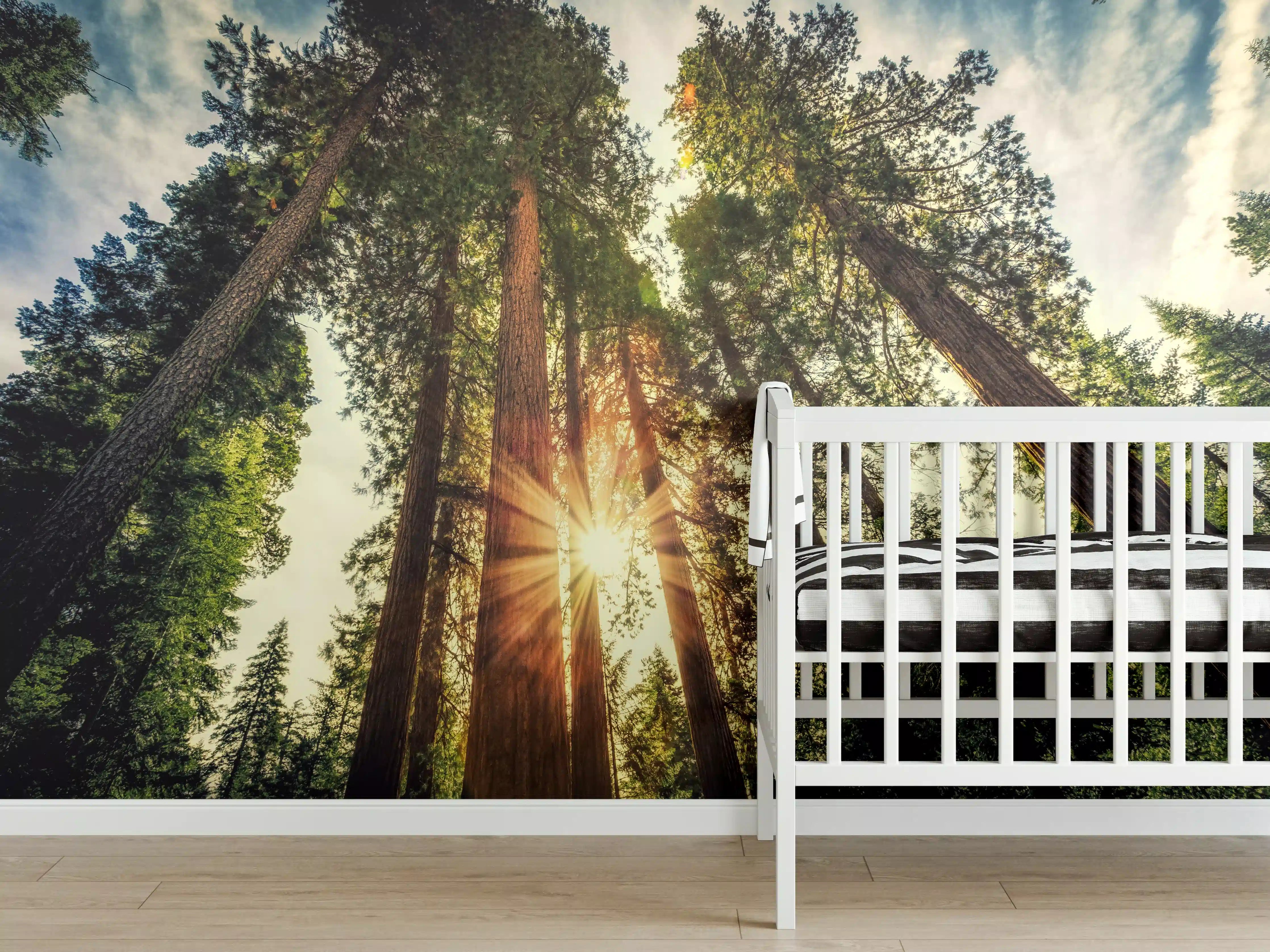 Babyzimmer Wandgestaltung - Sonnenaufgang über Mammutbäumen