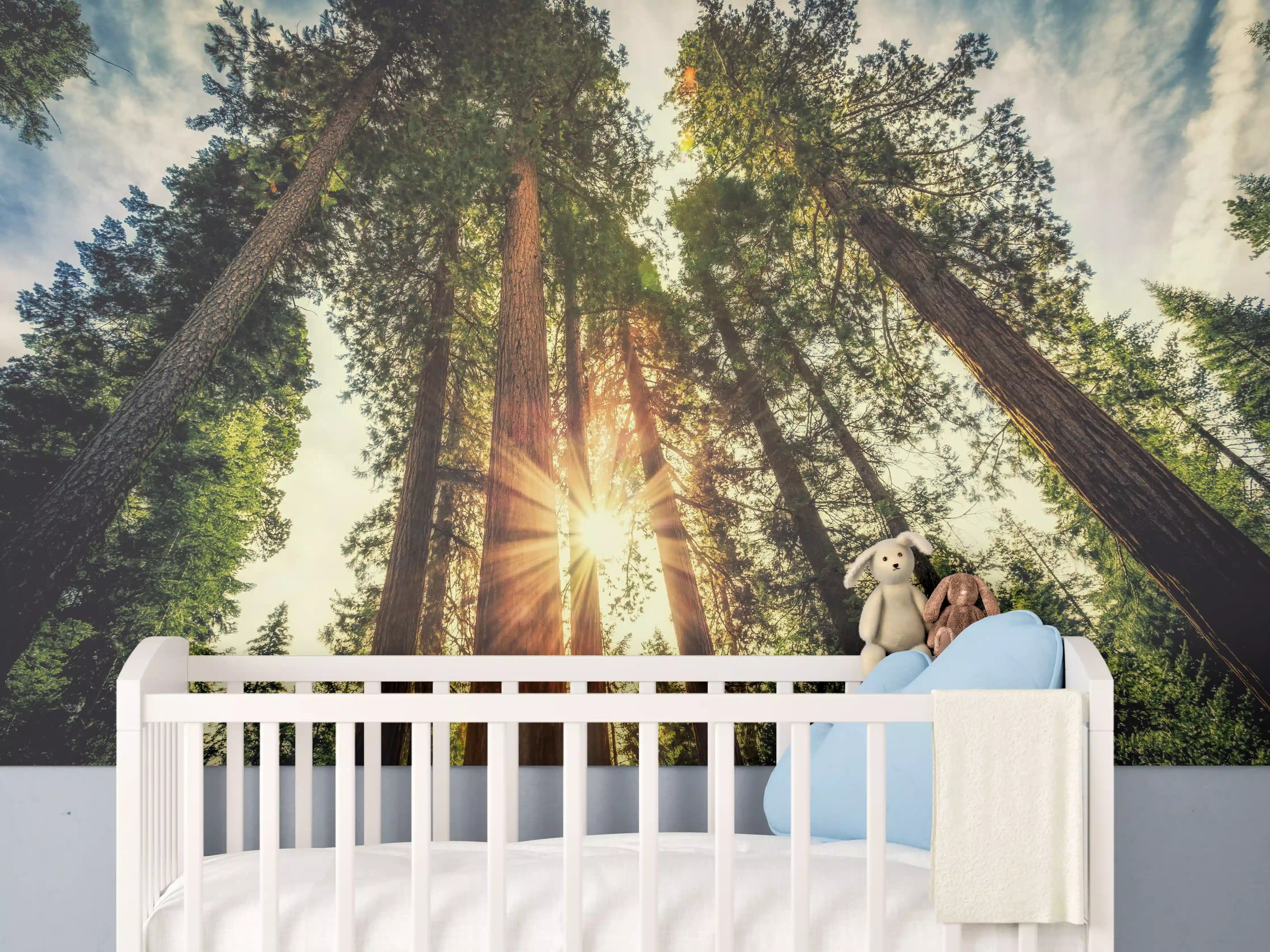Babyzimmer Wandgestaltung - Sonnenaufgang über Mammutbäumen