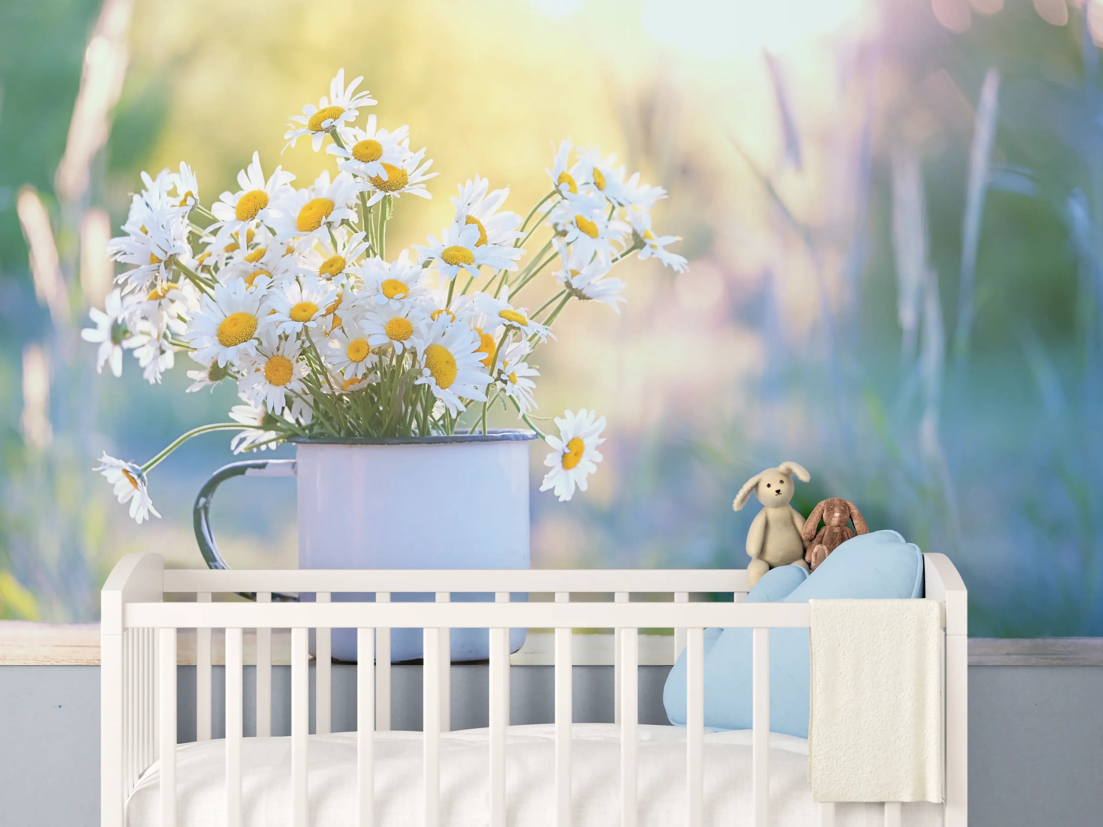 Babyzimmer Wandgestaltung - Sonnenbeschienene Gänseblümchen