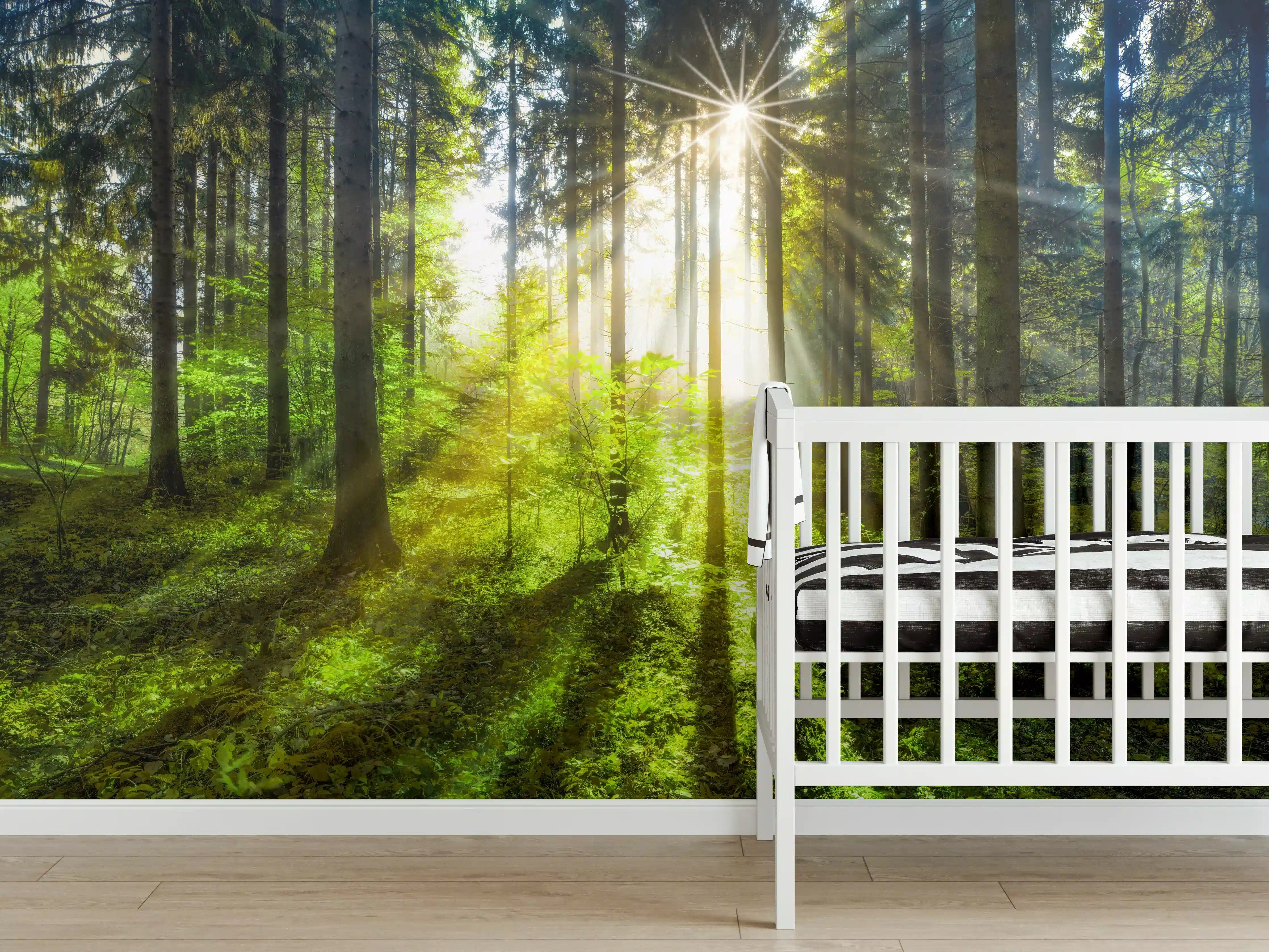 Babyzimmer Wandgestaltung - Sonnenstrahlen im lebendigem Wald