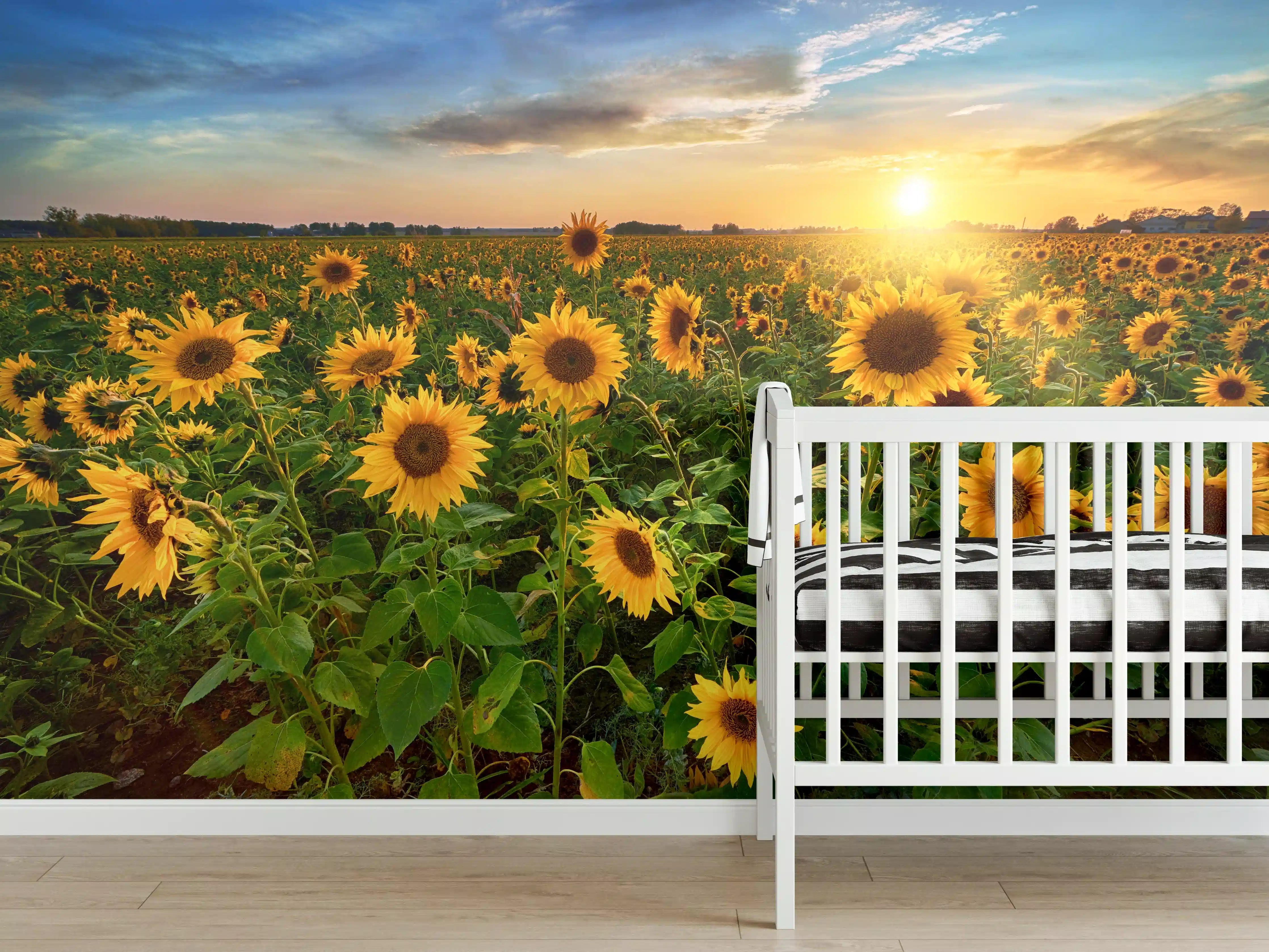 Babyzimmer Wandgestaltung - Sonnenuntergang über Sonnenblumenfeld in Hessen