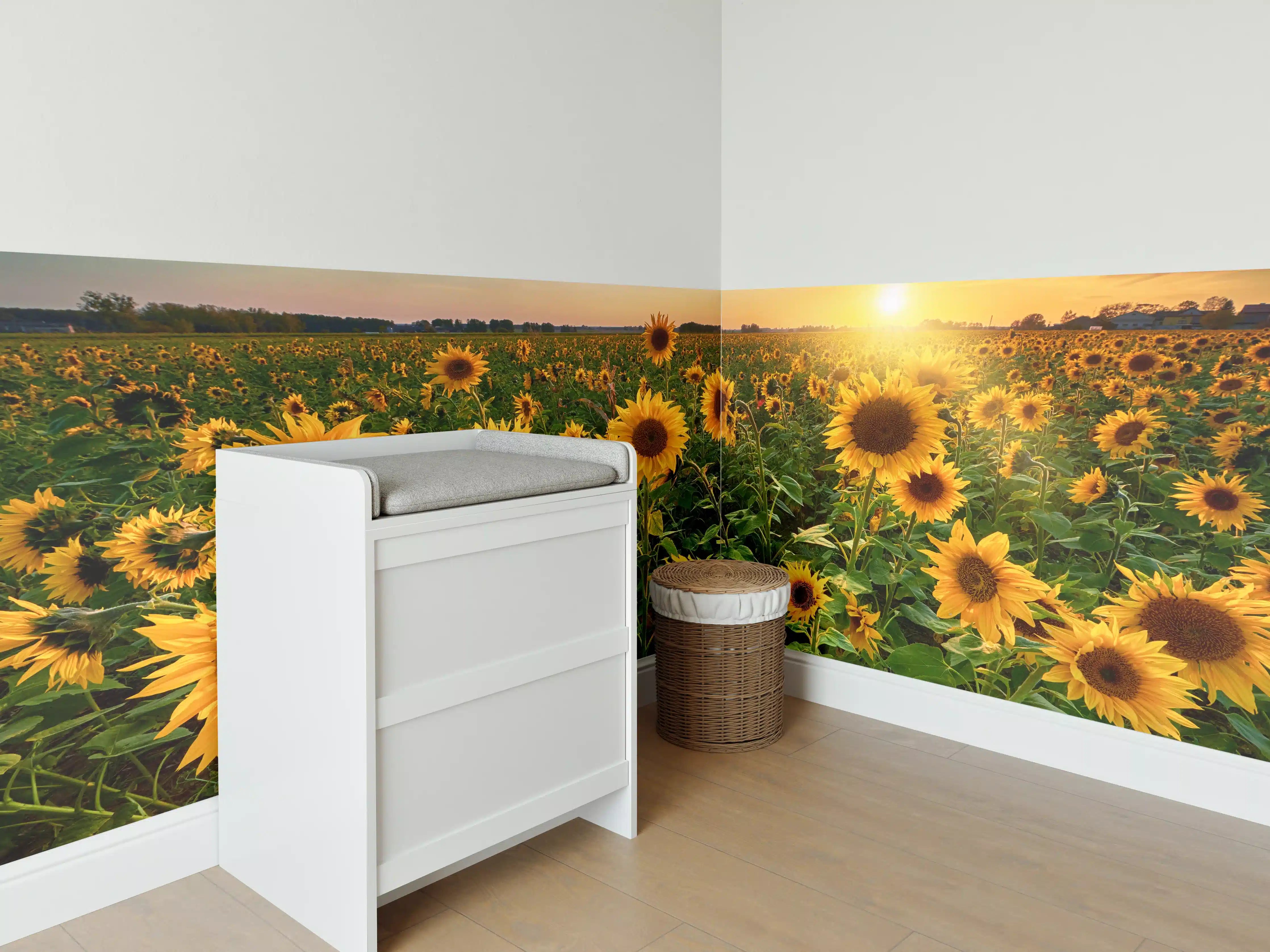Babyzimmer Wandgestaltung - Sonnenuntergang über Sonnenblumenfeld in Hessen