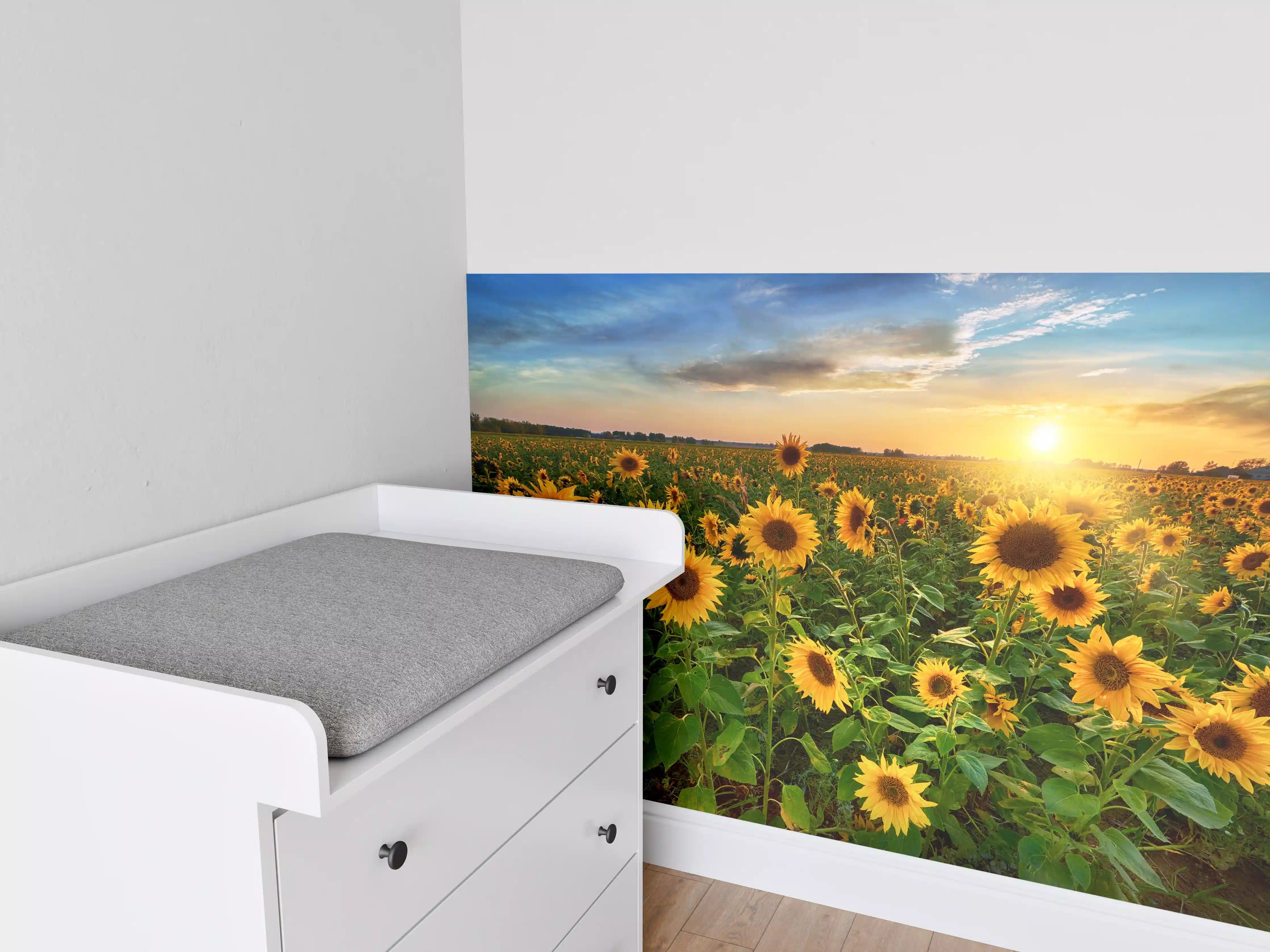 Babyzimmer Wandgestaltung - Sonnenuntergang über Sonnenblumenfeld in Hessen