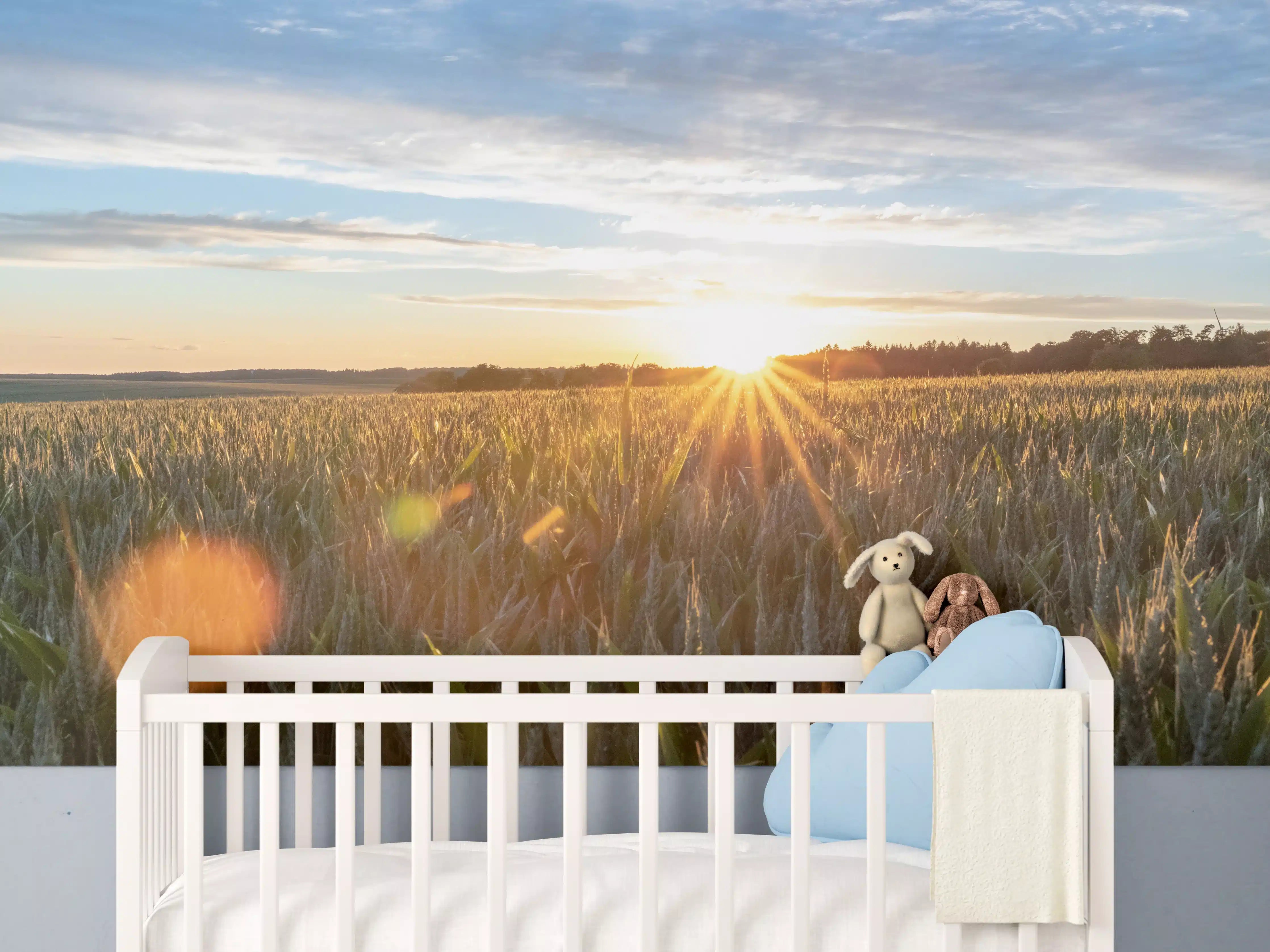Babyzimmer Wandgestaltung - Sonnenuntergang über einem Kornfeld