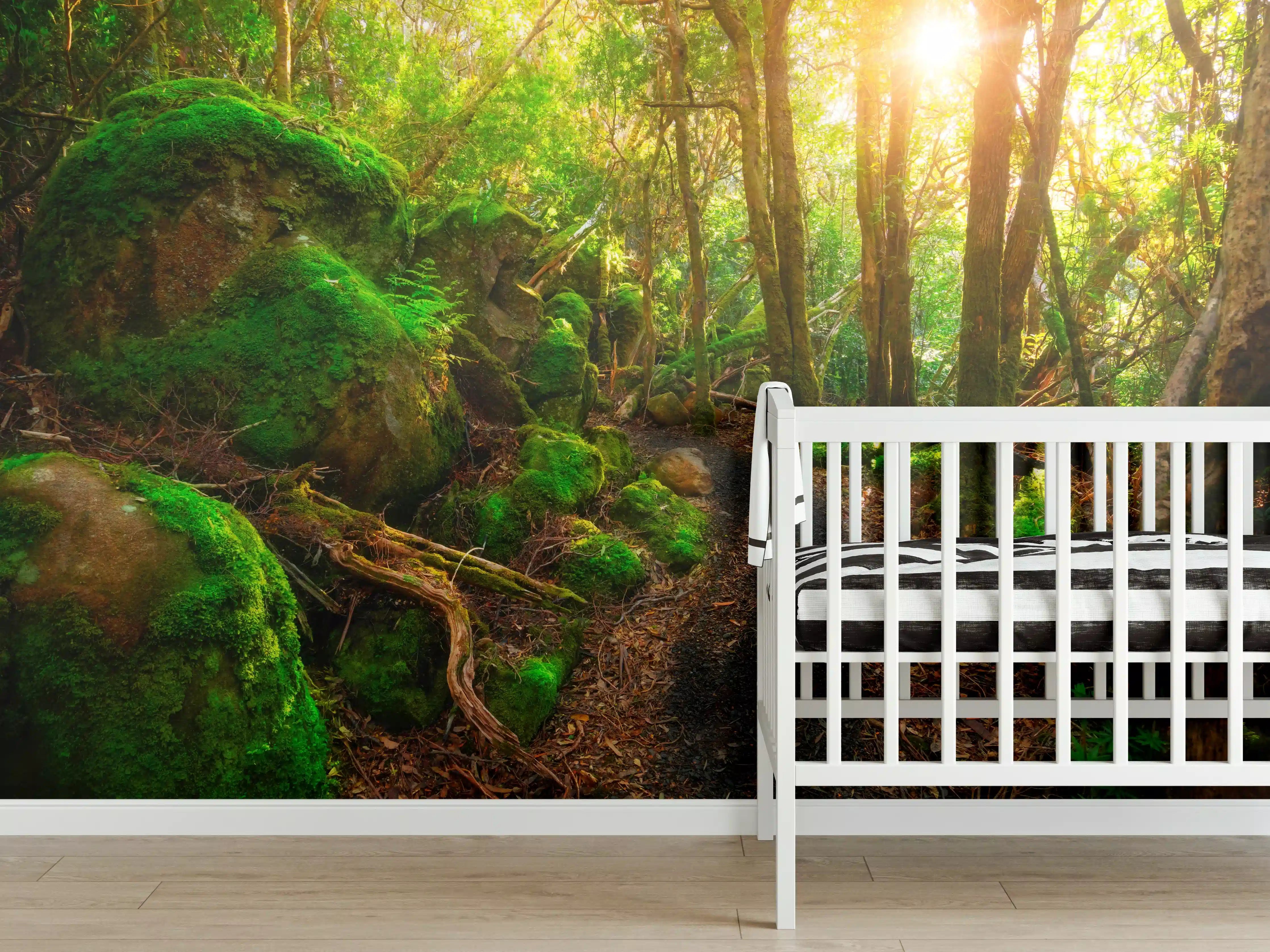 Babyzimmer Wandgestaltung - Sonniger Wald in Tasmanien