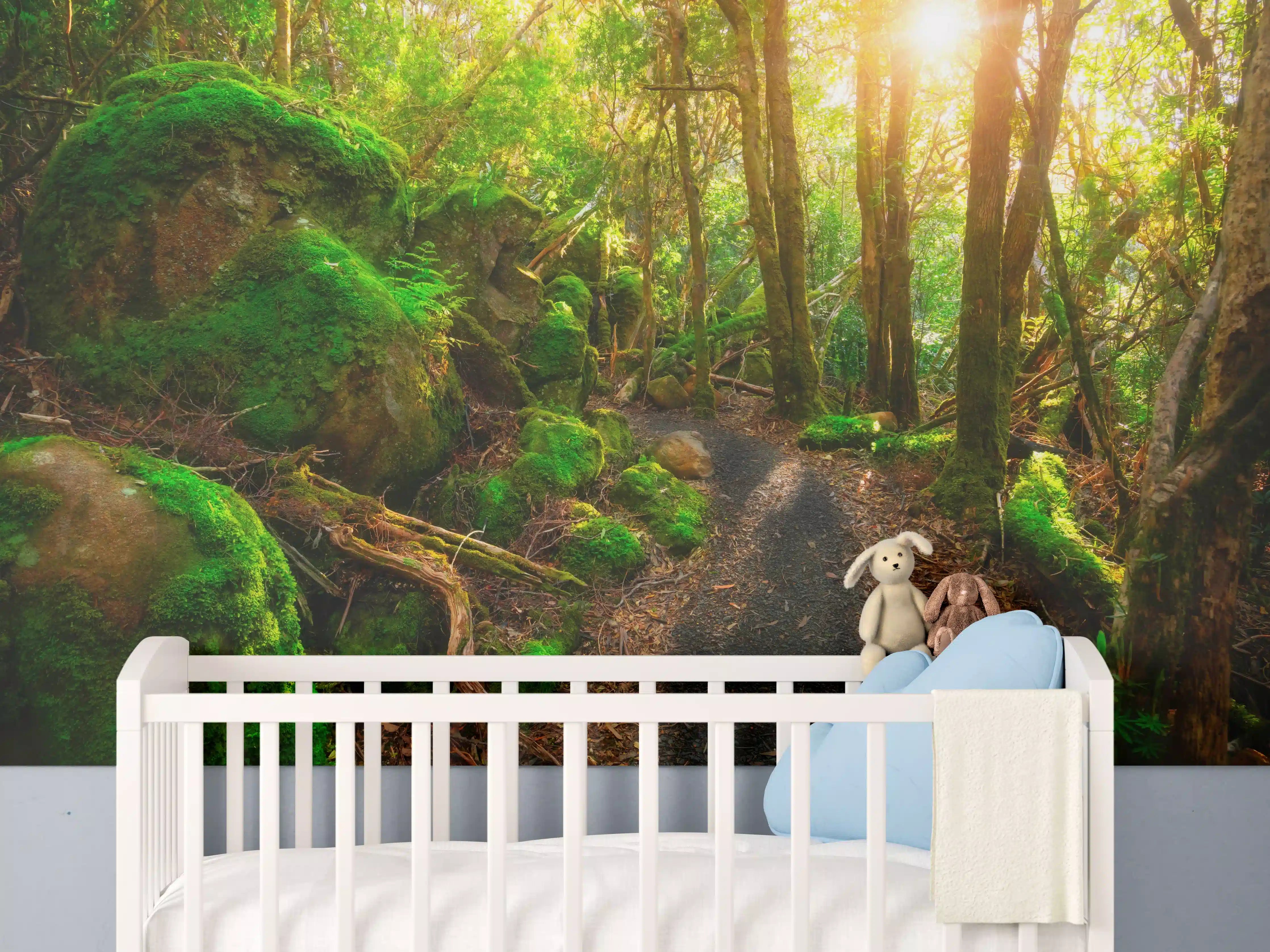 Babyzimmer Wandgestaltung - Sonniger Wald in Tasmanien