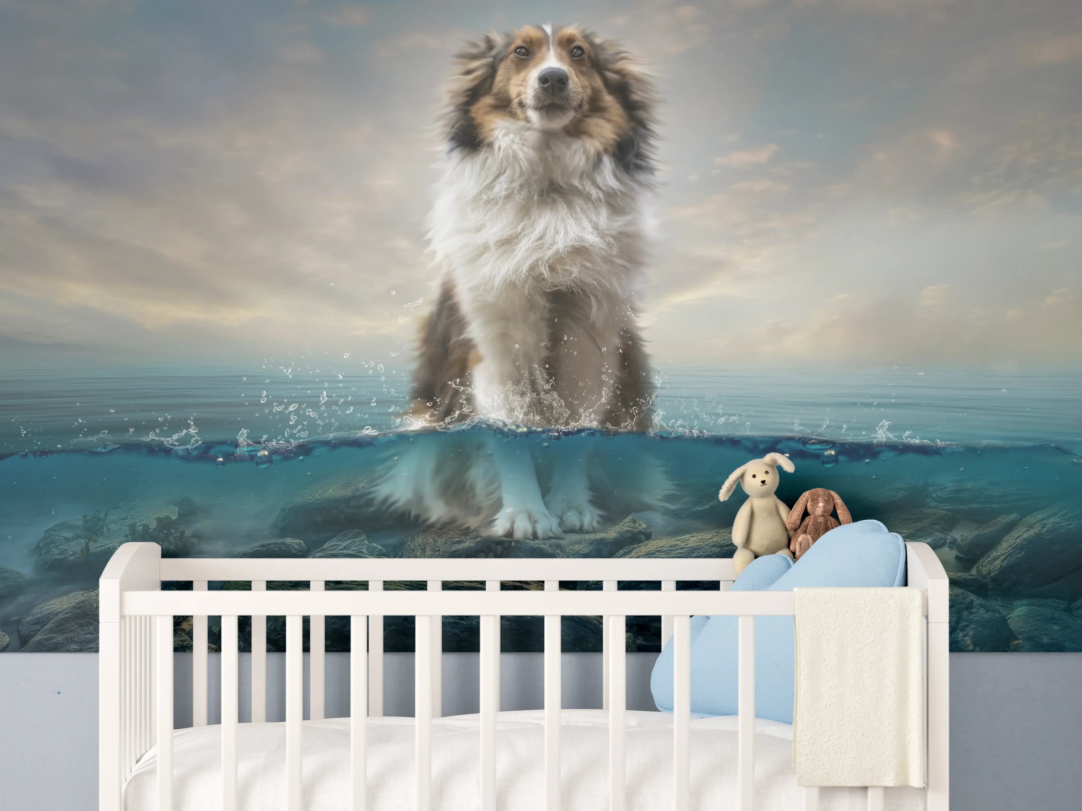 Babyzimmer Wandgestaltung - Stolzer Shetland-Schäferhund im Wasser