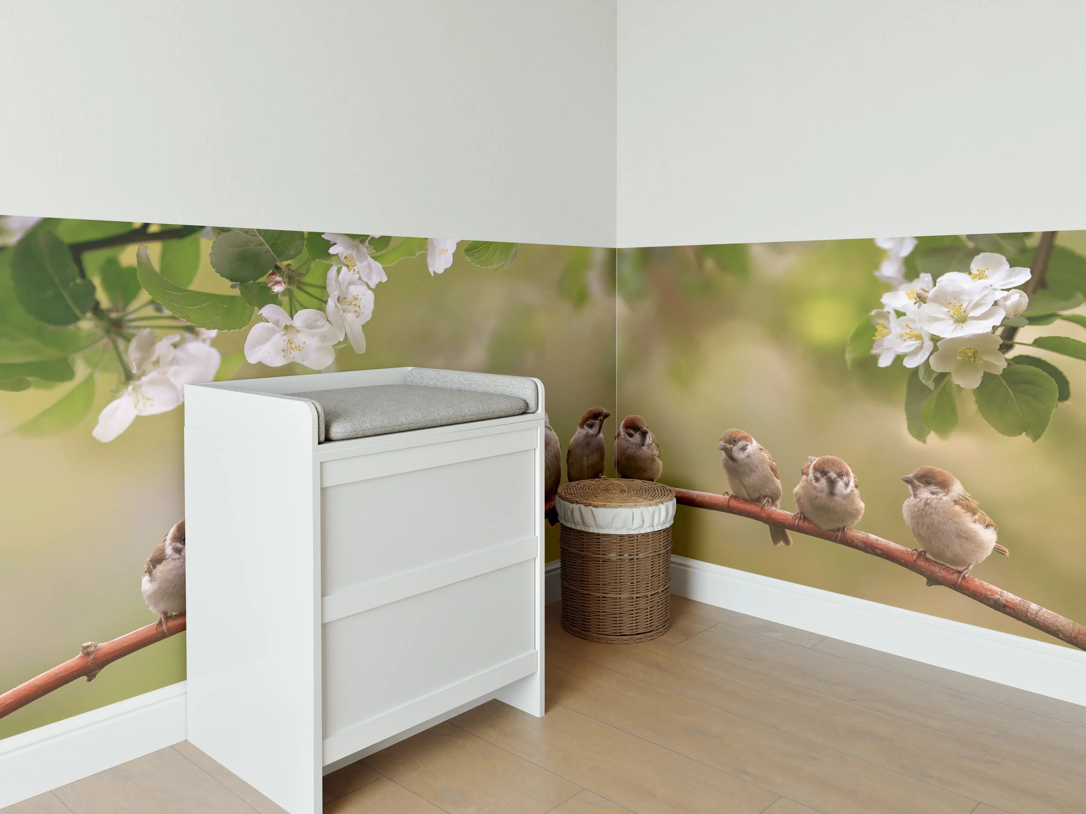 Babyzimmer Wandgestaltung - Süße Sperlingsfamilie auf Zweig in Frühlingssonne