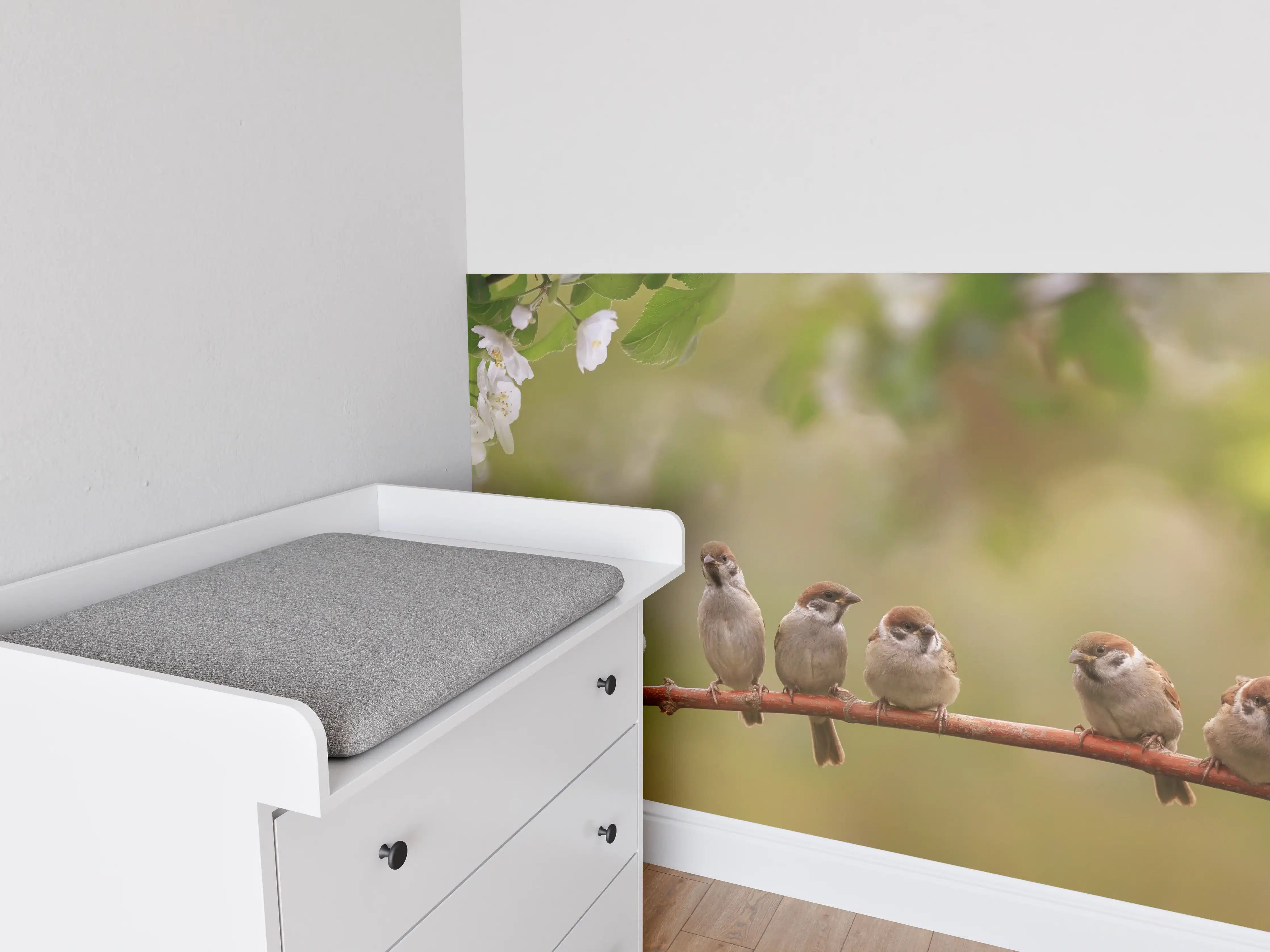 Babyzimmer Wandgestaltung - Süße Sperlingsfamilie auf Zweig in Frühlingssonne