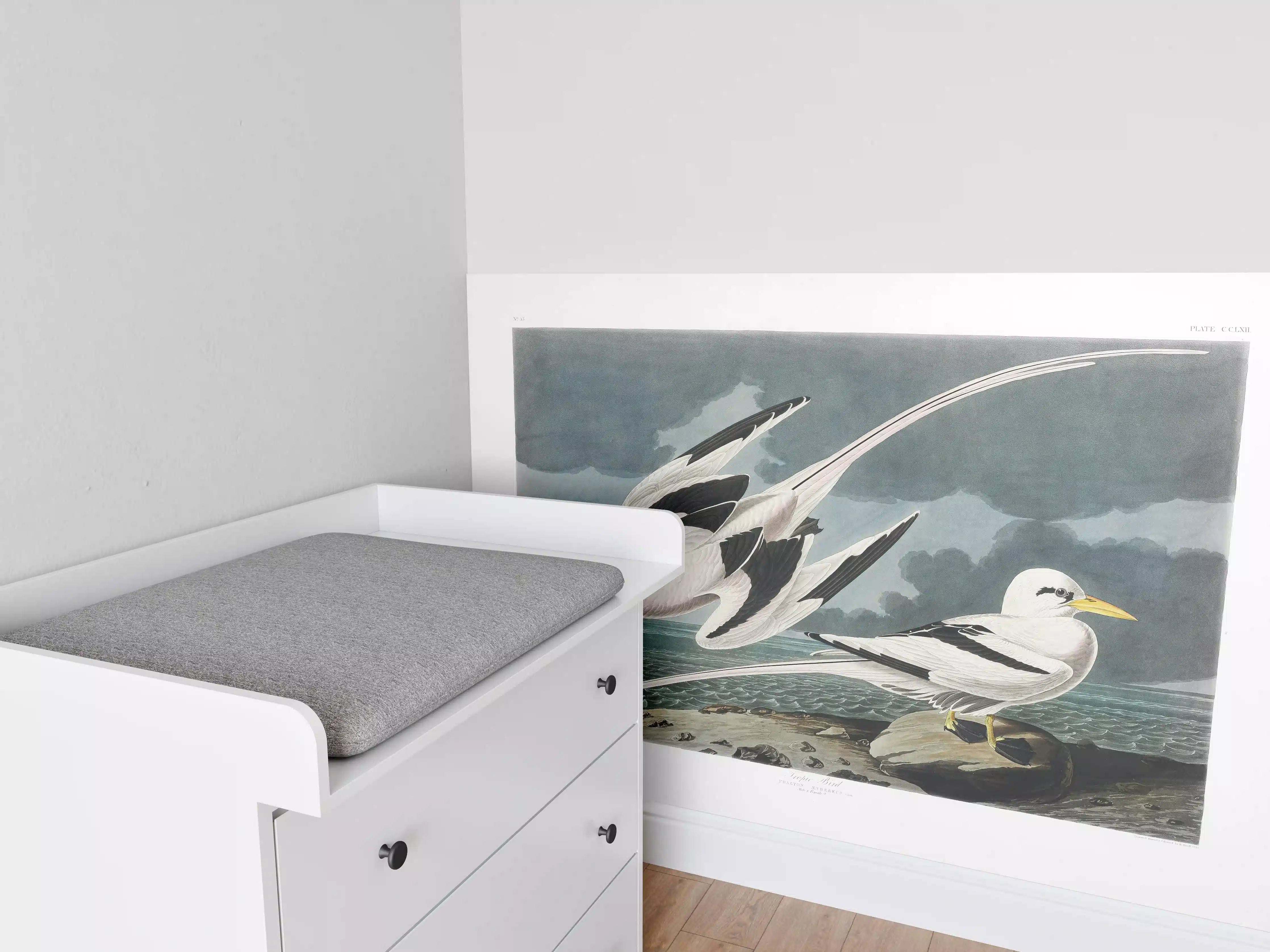 Babyzimmer Wandgestaltung - Tropische Vögel - John James Audubon