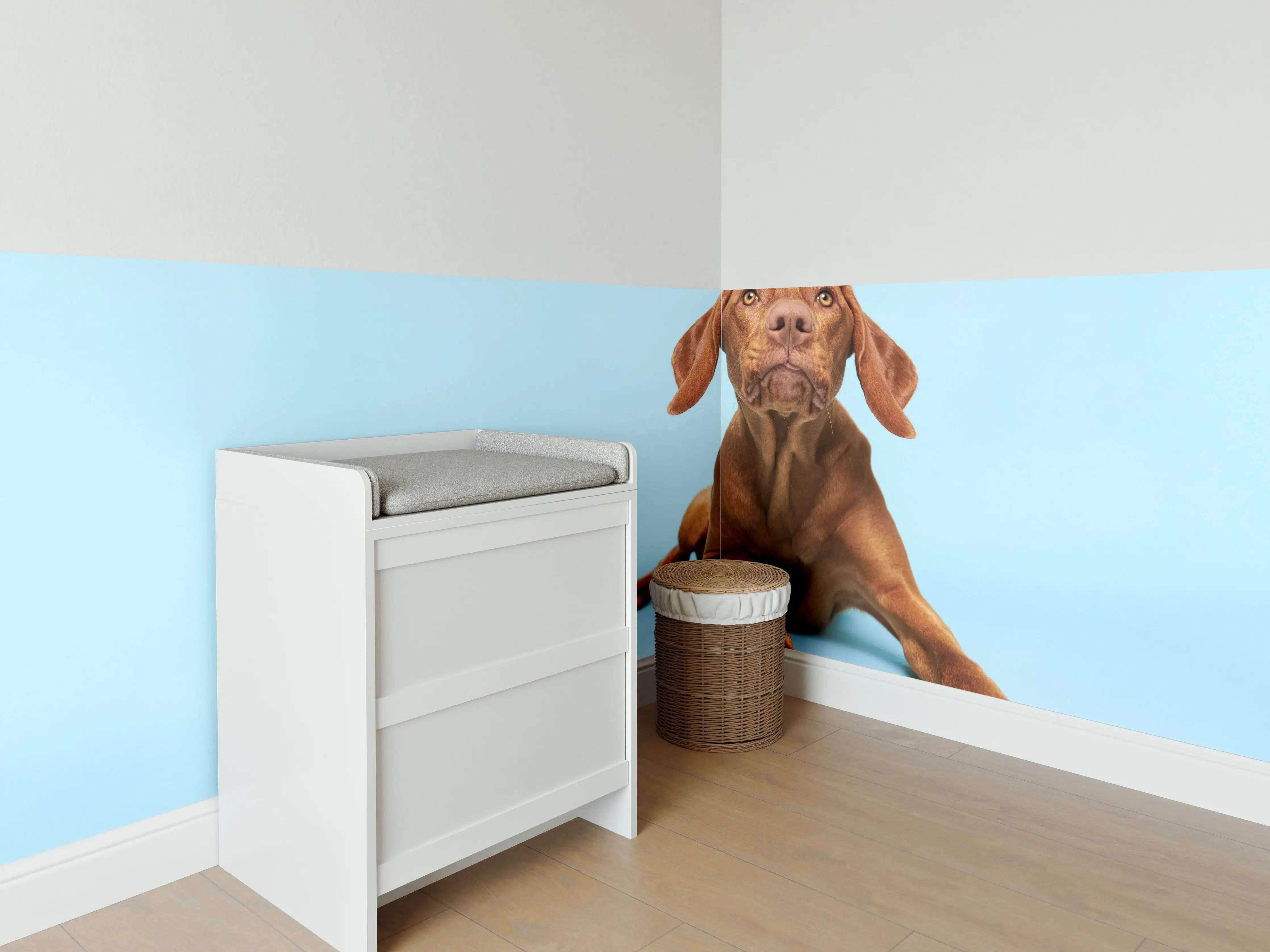 Babyzimmer Wandgestaltung - Ungarischer Vizsla-Welpe Portrait