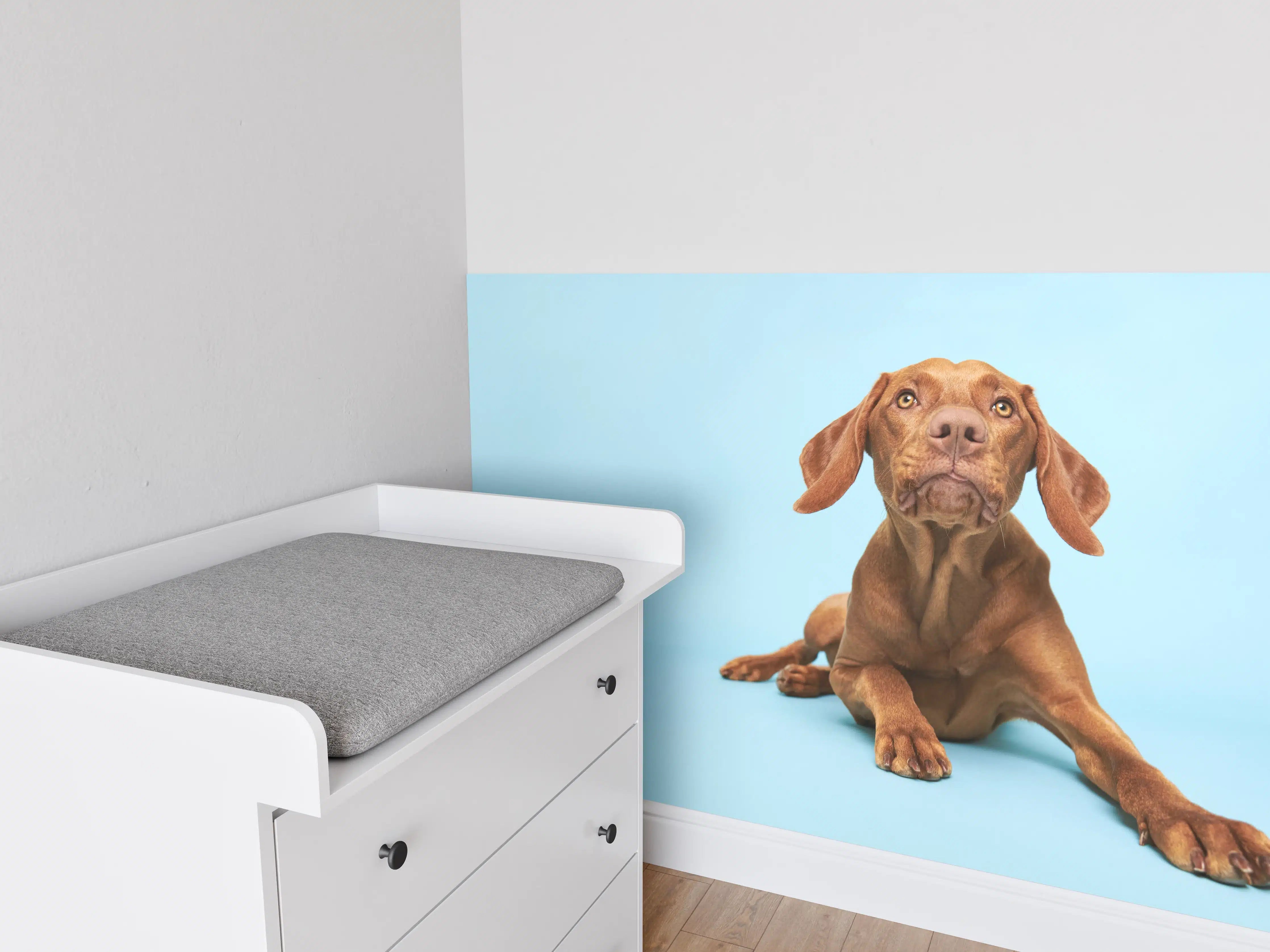 Babyzimmer Wandgestaltung - Ungarischer Vizsla-Welpe Portrait