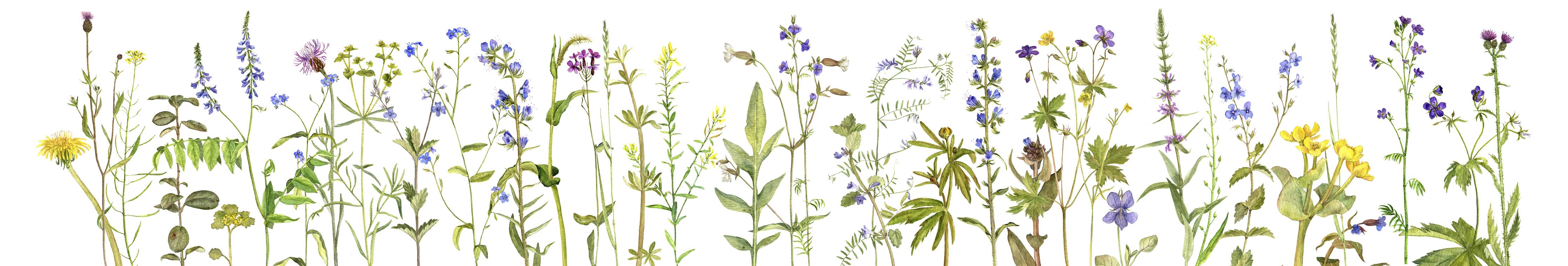 Babyzimmer Wandgestaltung-Veilchen im Wald