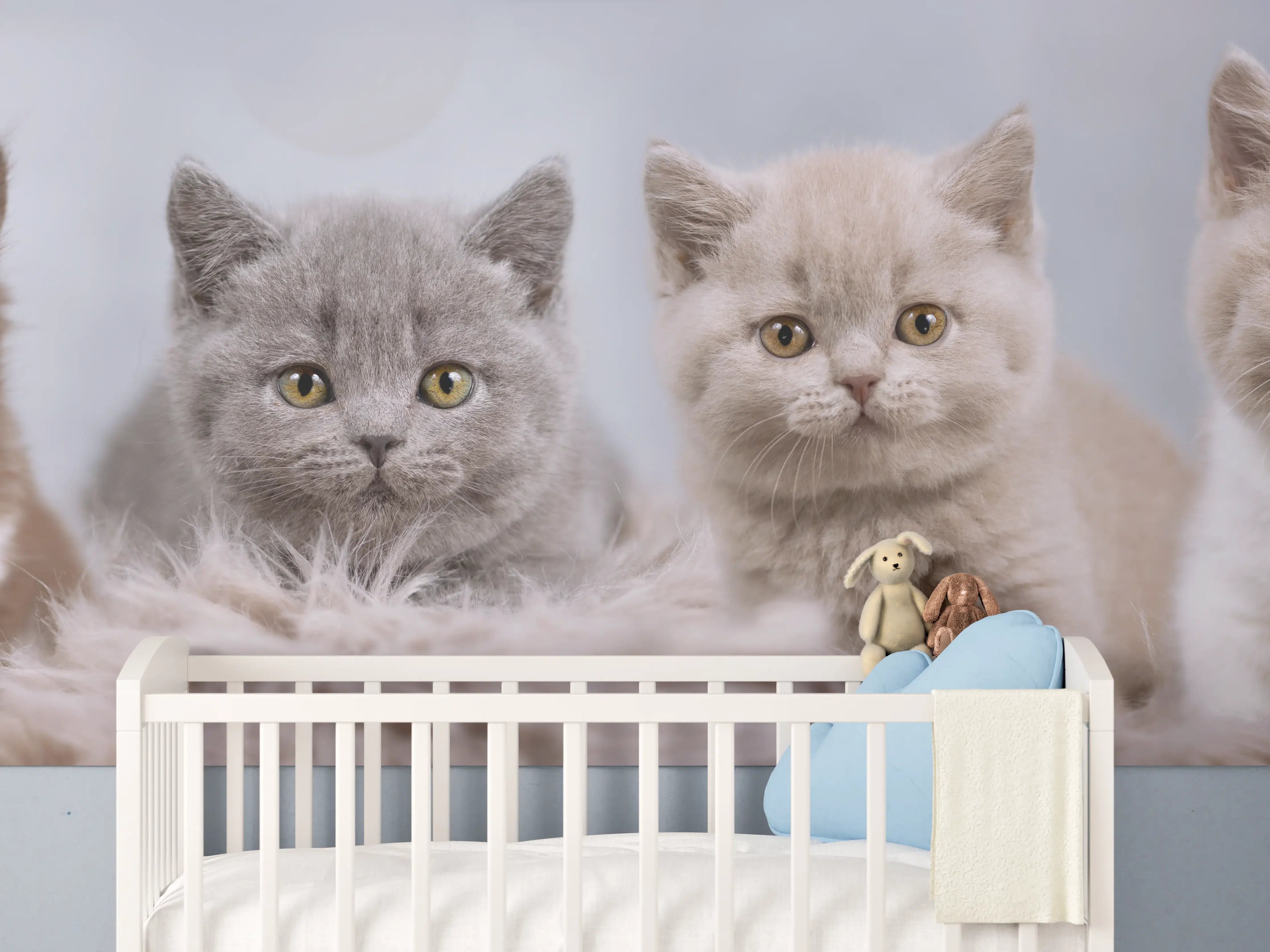 Babyzimmer Wandgestaltung - Vier süße Katzenbaby