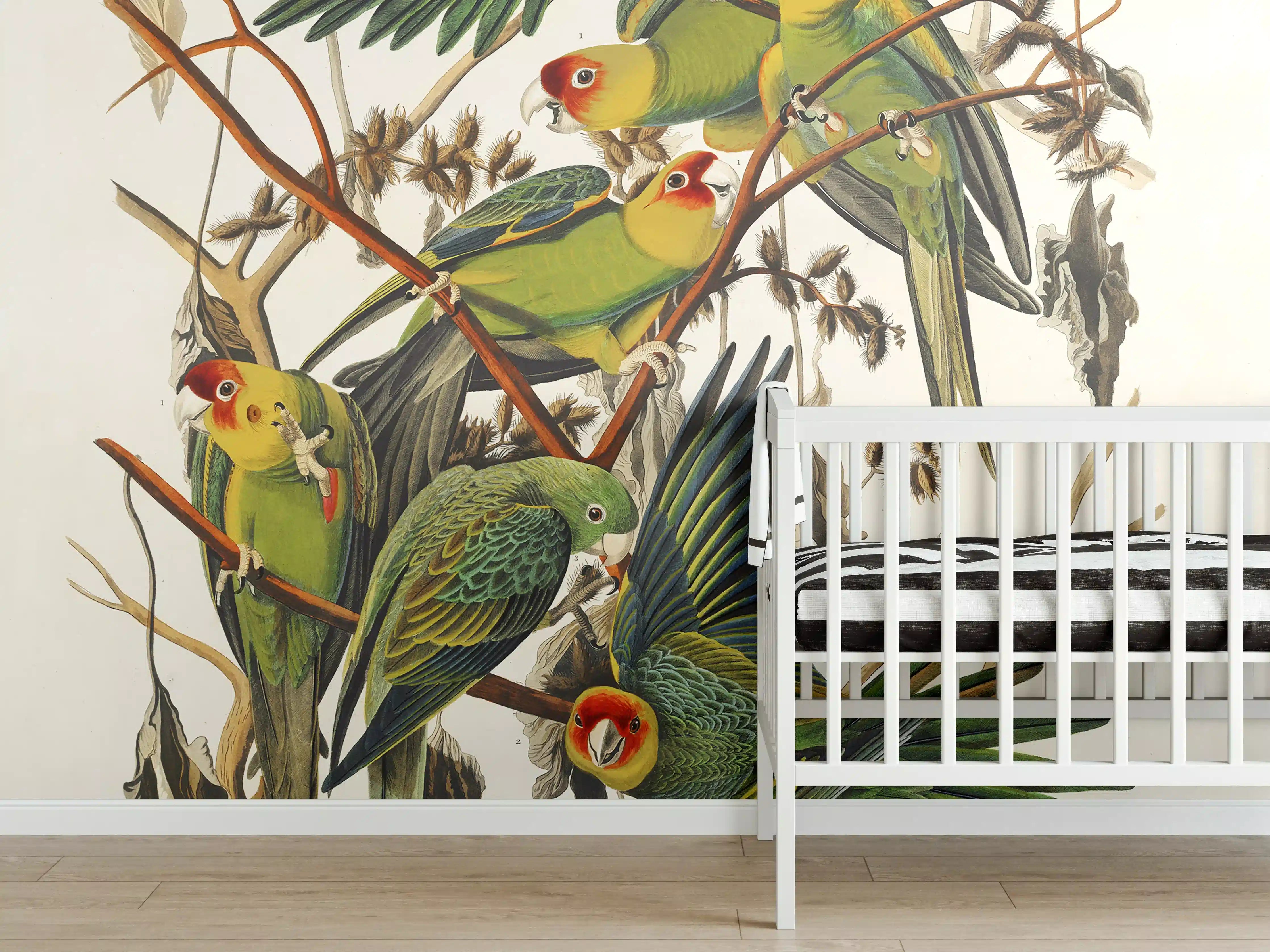 Babyzimmer Wandgestaltung - Vogel Portait - Robert Havell