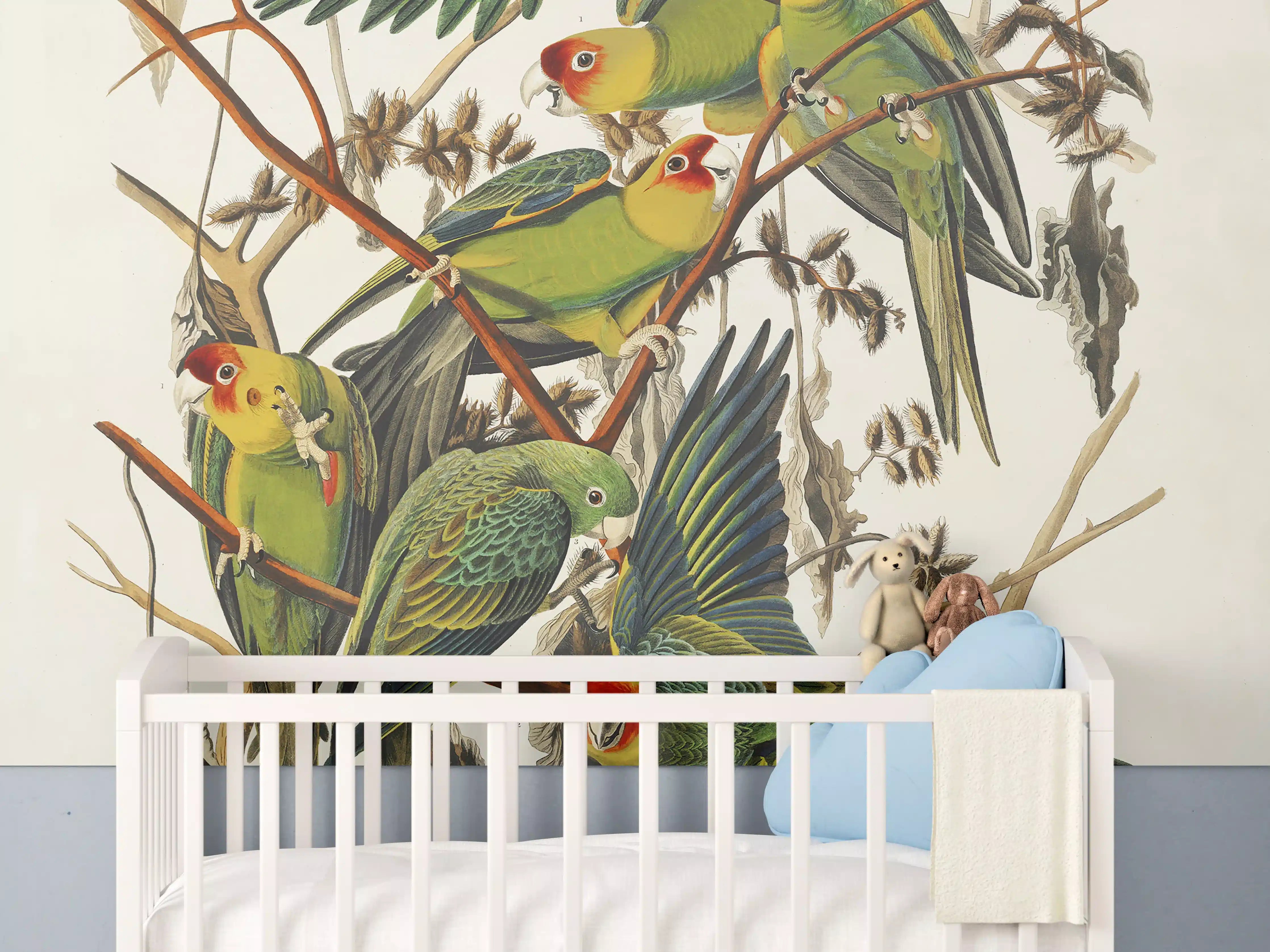 Babyzimmer Wandgestaltung - Vogel Portait - Robert Havell
