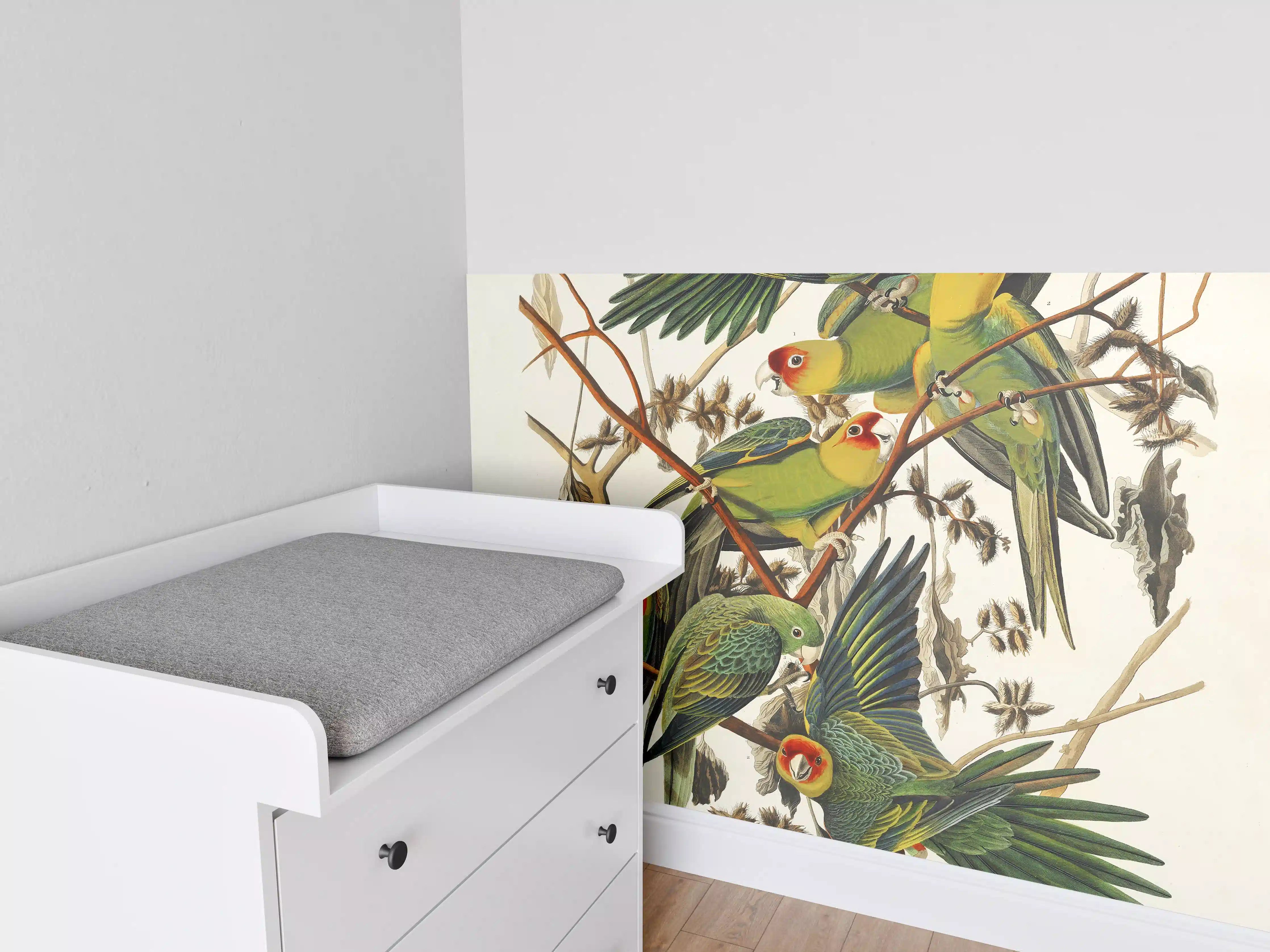 Babyzimmer Wandgestaltung - Vogel Portait - Robert Havell