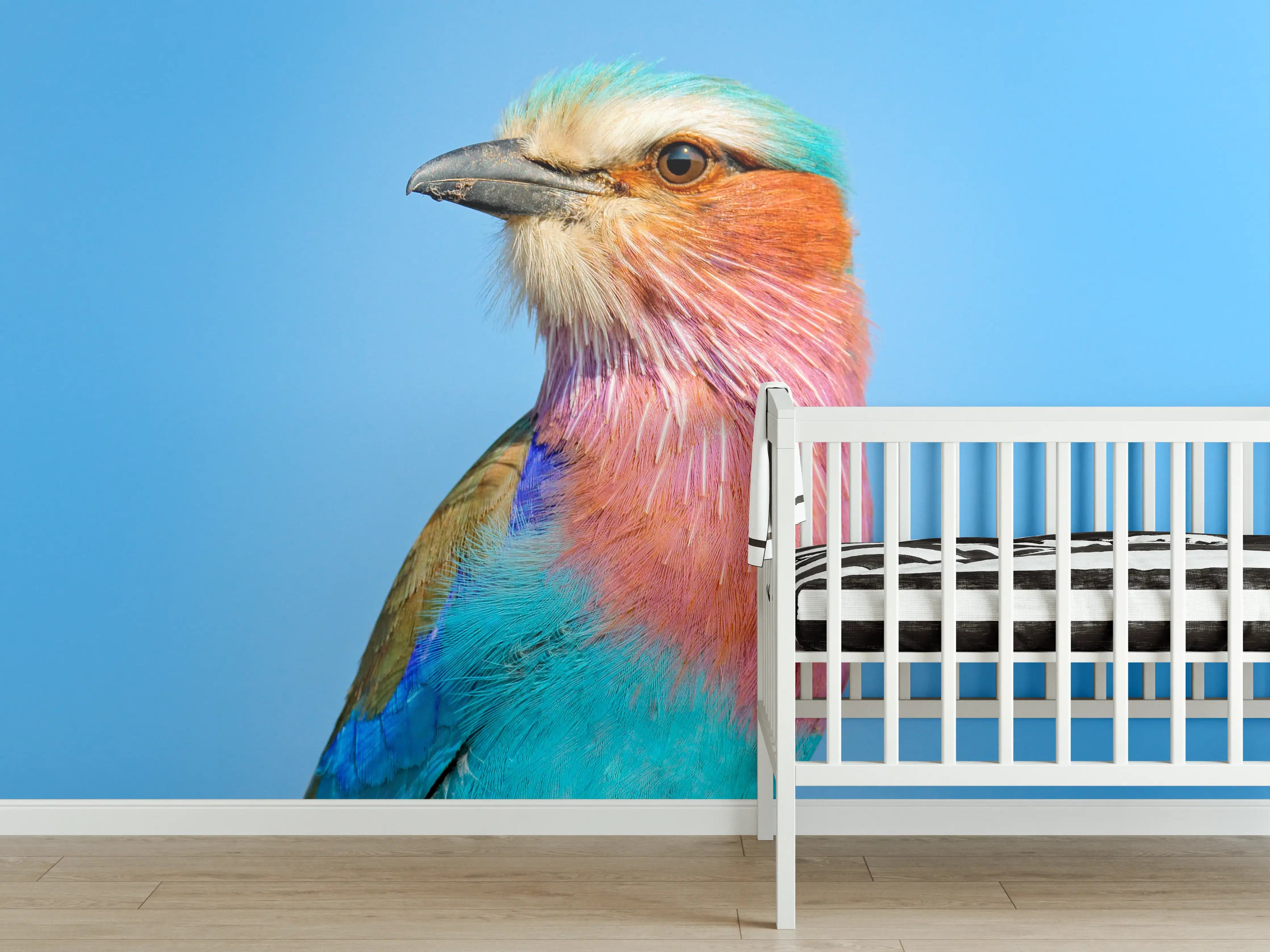 Babyzimmer Wandgestaltung - Vogel mit buntem Gefieder vor hellem Himmel