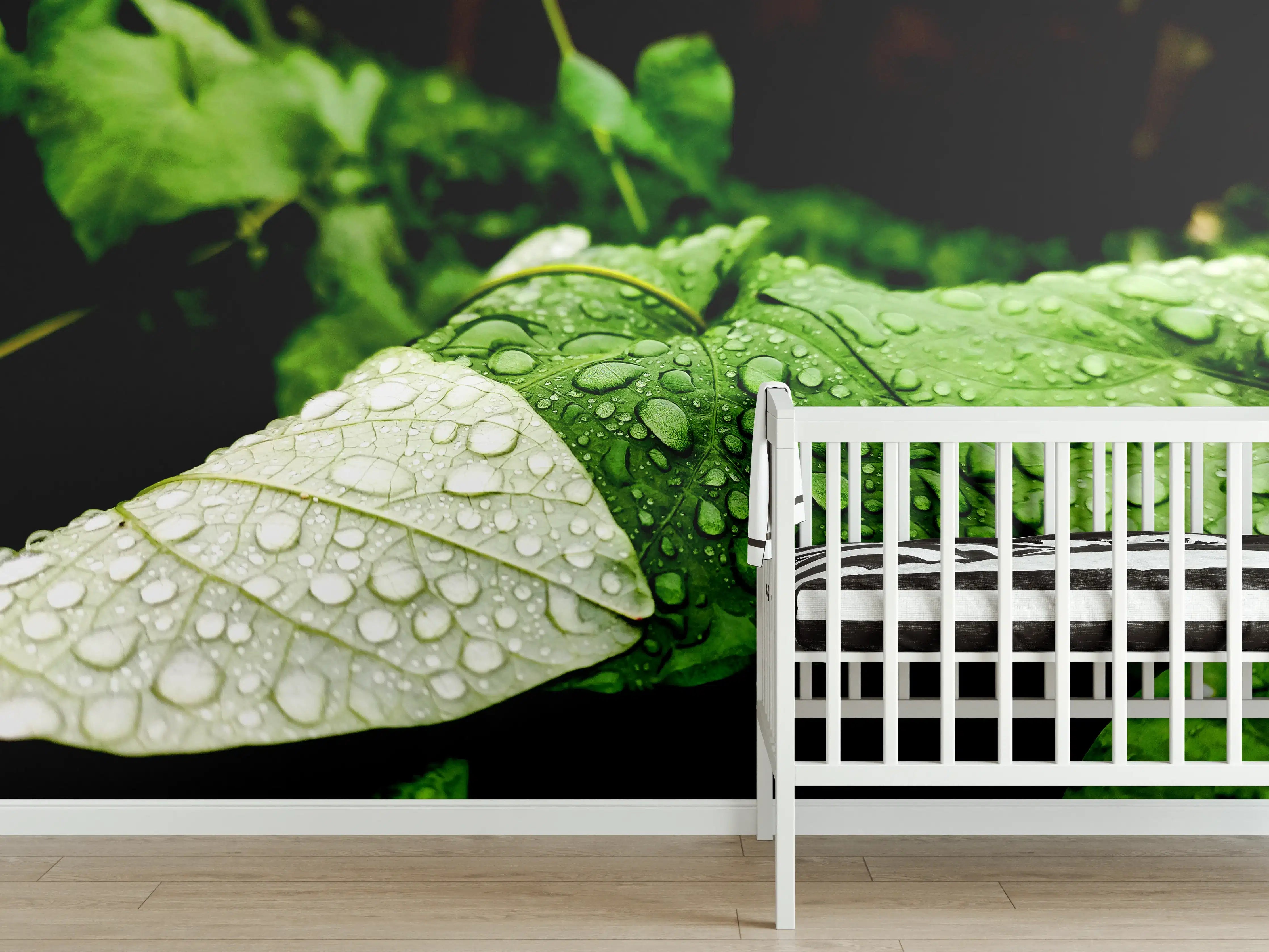 Babyzimmer Wandgestaltung - Wassertropfen auf einem Blatt