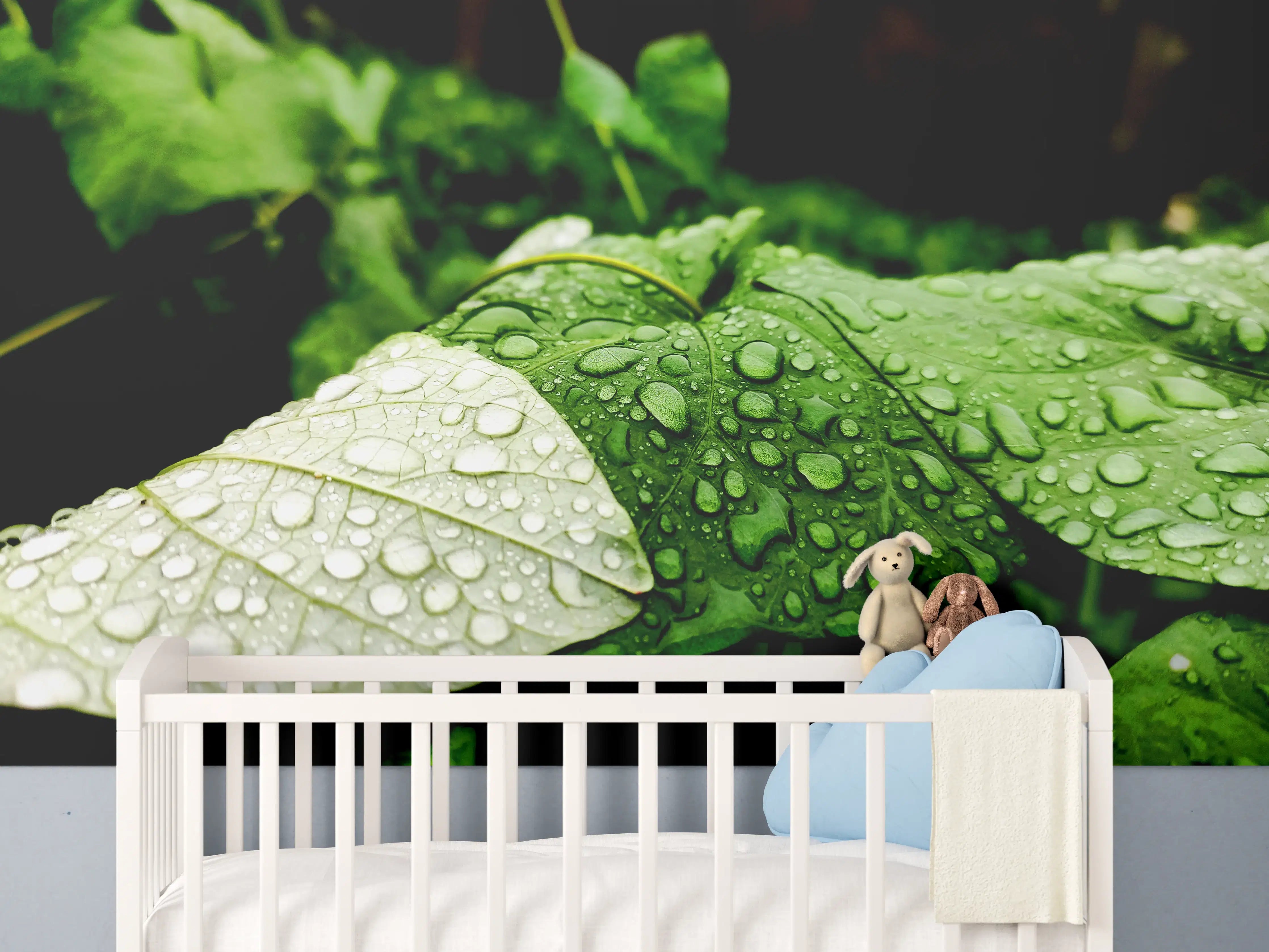 Babyzimmer Wandgestaltung - Wassertropfen auf einem Blatt