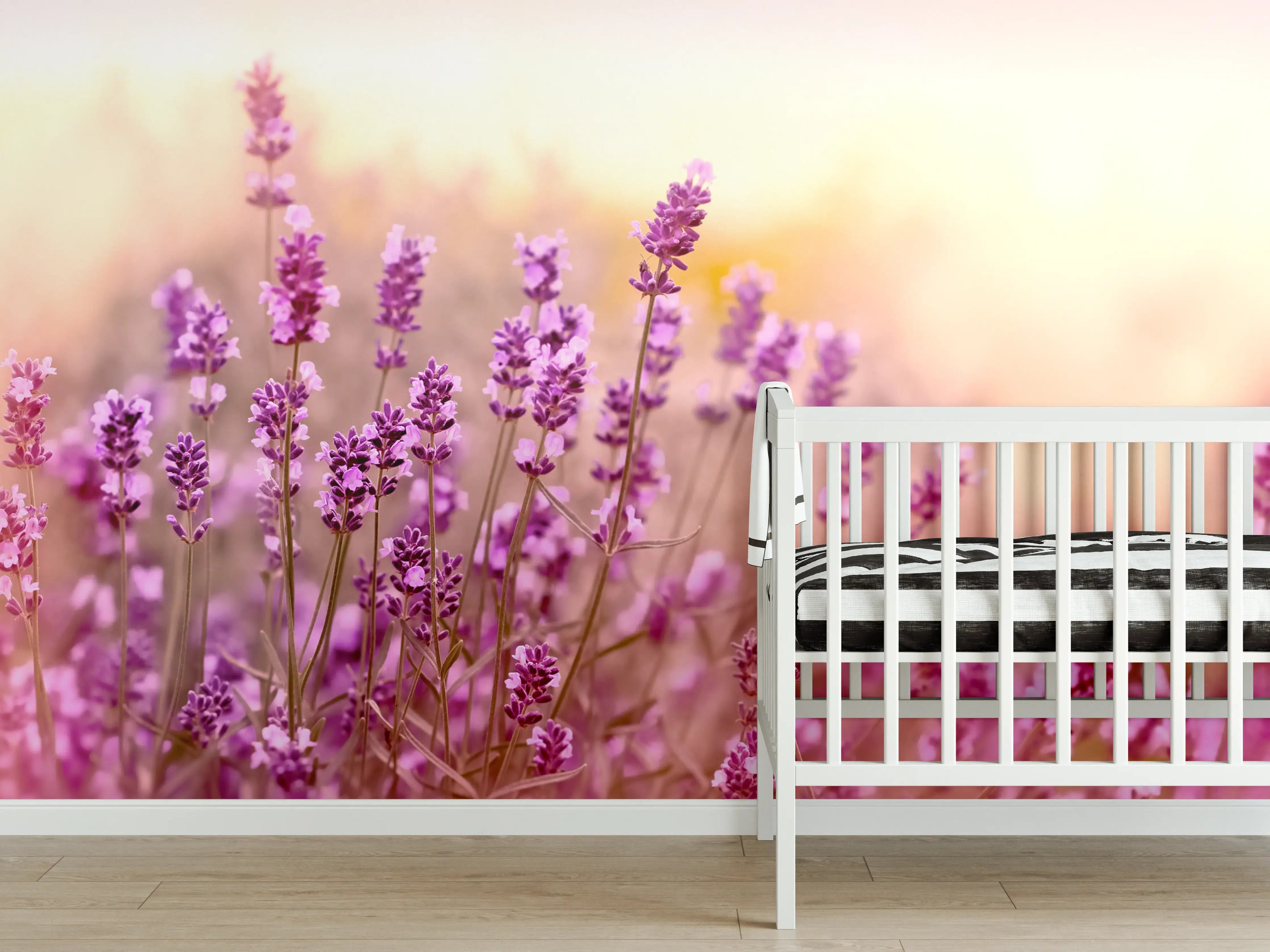 Babyzimmer Wandgestaltung - Weicher und selektiver Fokus auf Lavendelblüte