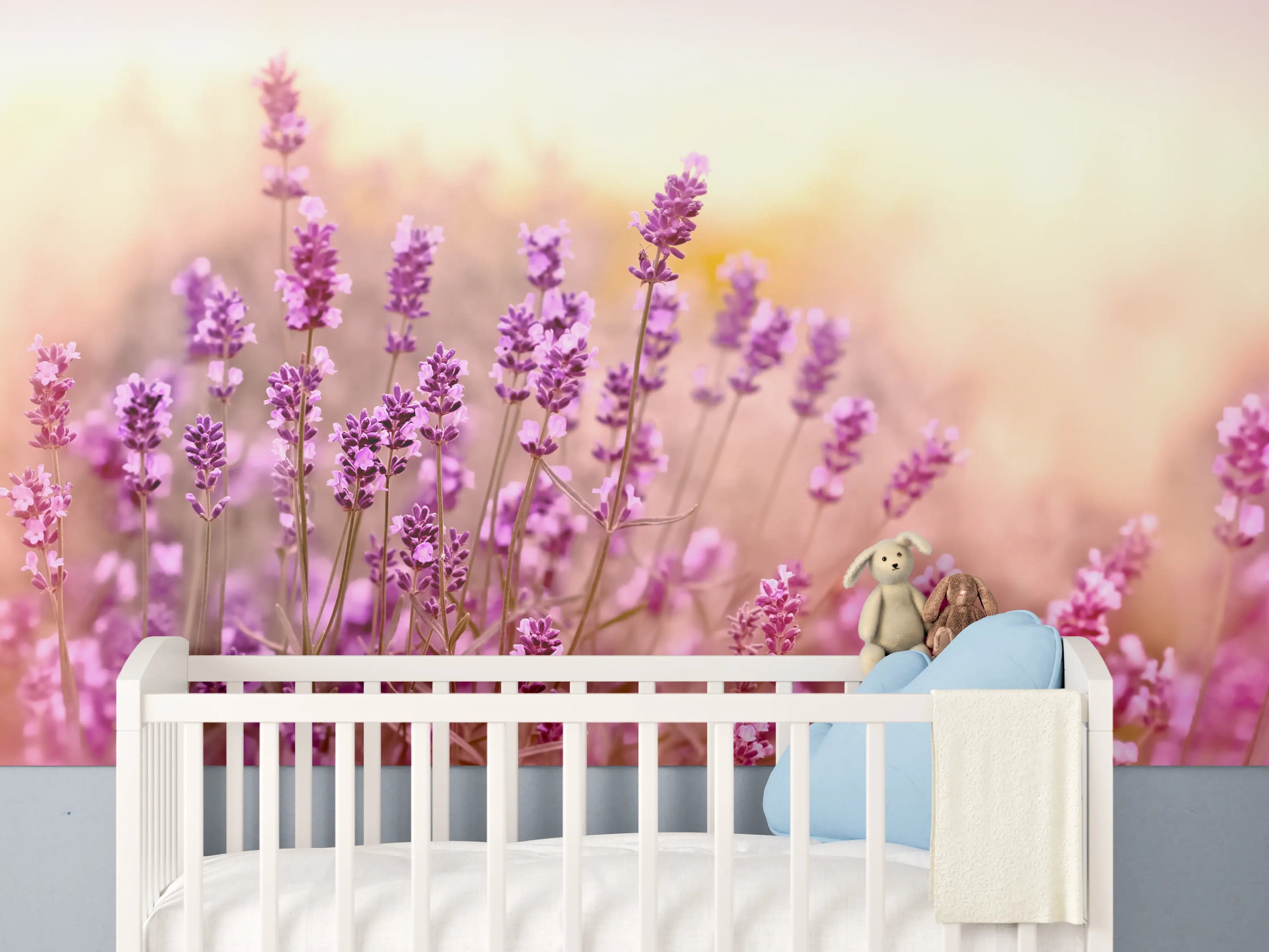 Babyzimmer Wandgestaltung - Weicher und selektiver Fokus auf Lavendelblüte