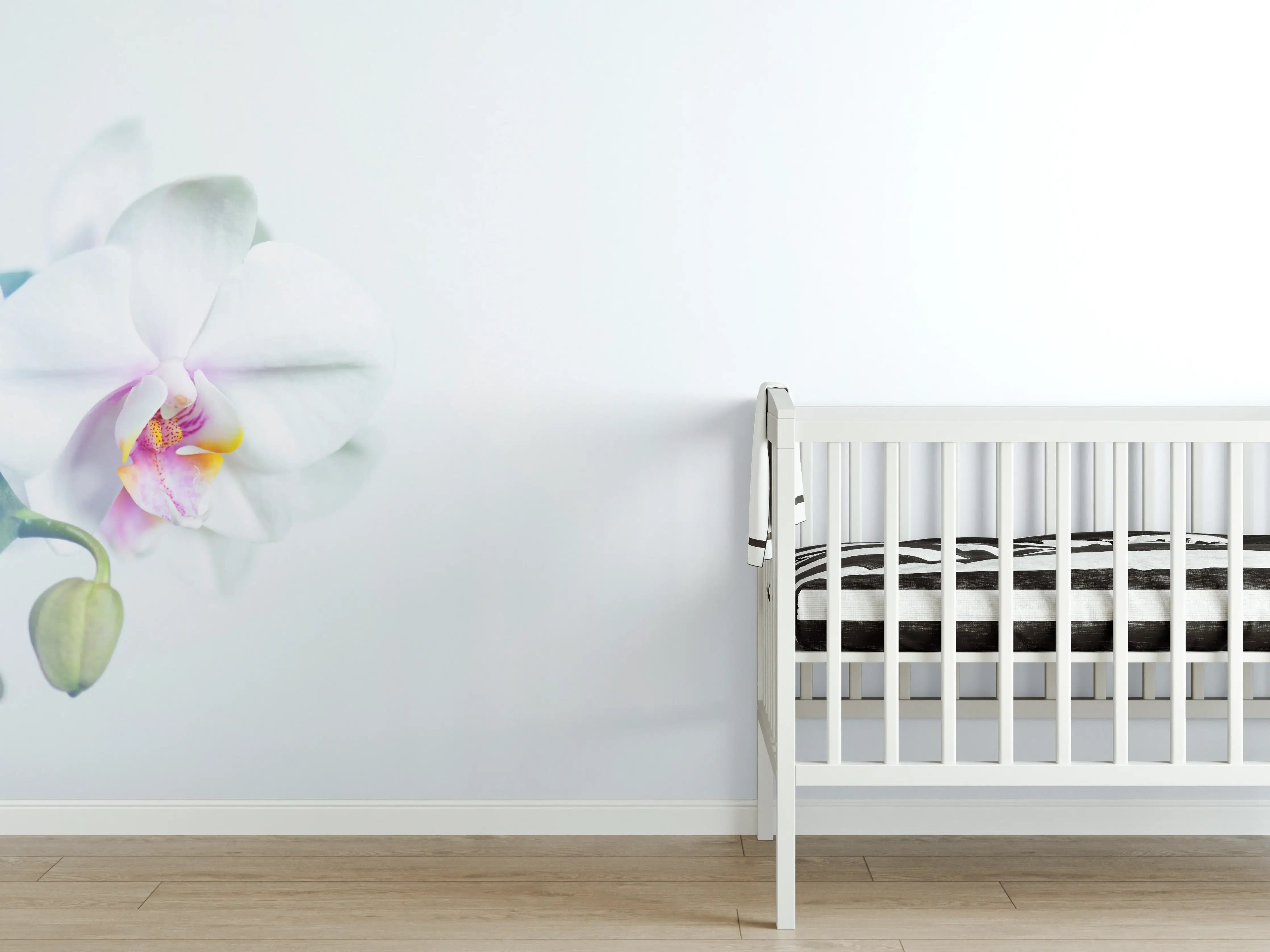 Babyzimmer Wandgestaltung - Weiße Orchidee in Pastell