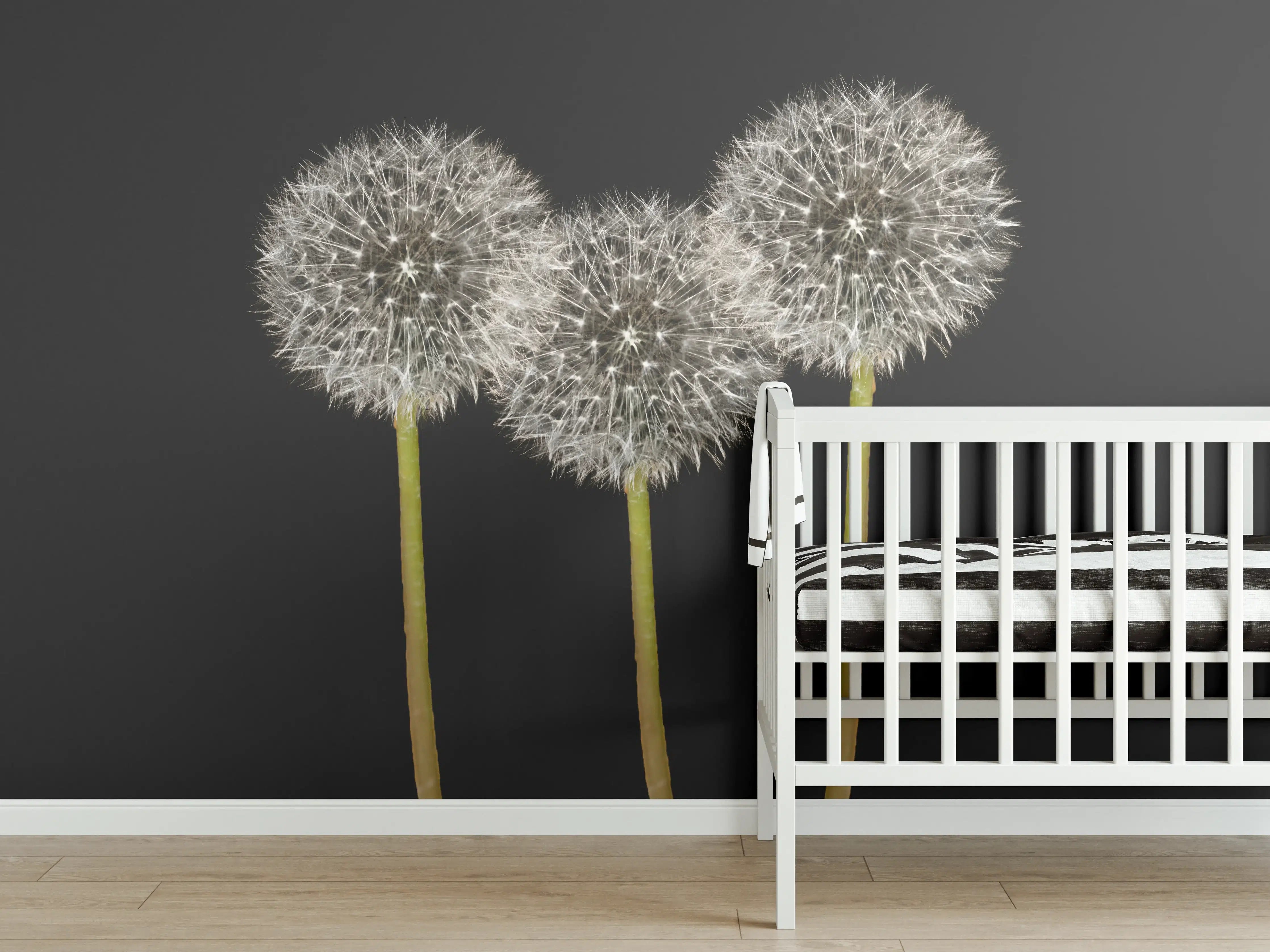 Babyzimmer Wandgestaltung - Weiße Pusteblumen auf Schwarz